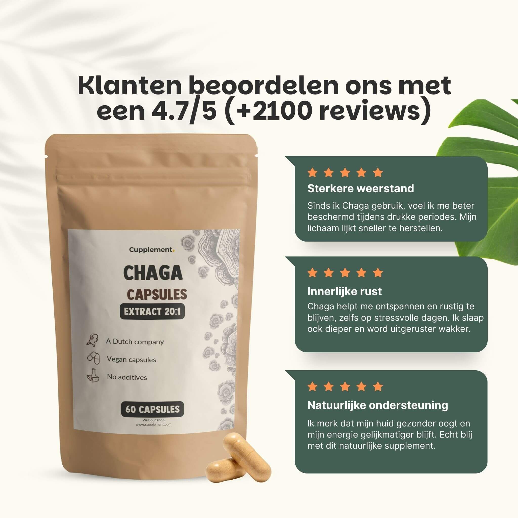 Zakje met chaga capsules en klantbeoordelingen. Tekst: 4,7/5 sterren. Citaten van klanten.