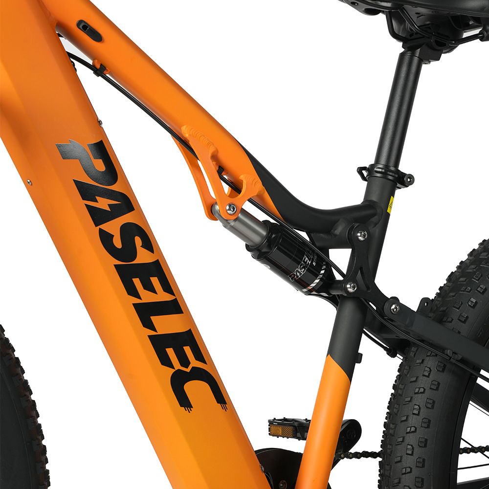 Paselec GS9 VTT électrique, batterie amovible 48 V 16 Ah