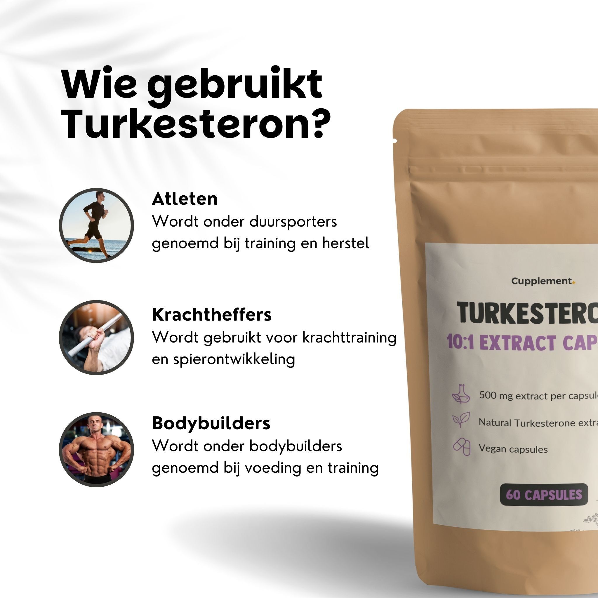 Zakje met capsules. Opschrift: Turkesterone 10:1 Extract Capsules. 60 capsules. 500 mg extract per capsule. Wie gebruikt turkesterone?