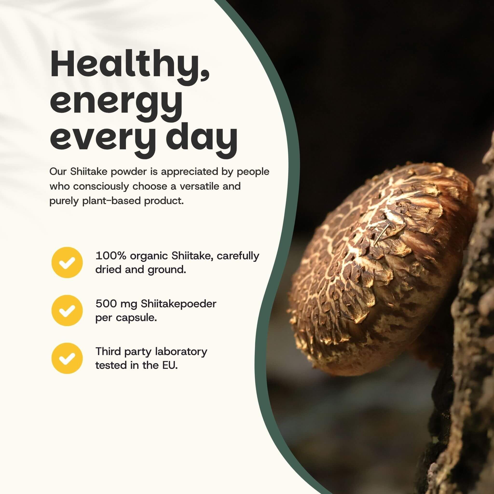Gros plan sur un champignon Shiitake. Texte : Sain, énergie chaque jour. 100% Shiitake bio, 500 mg de poudre.