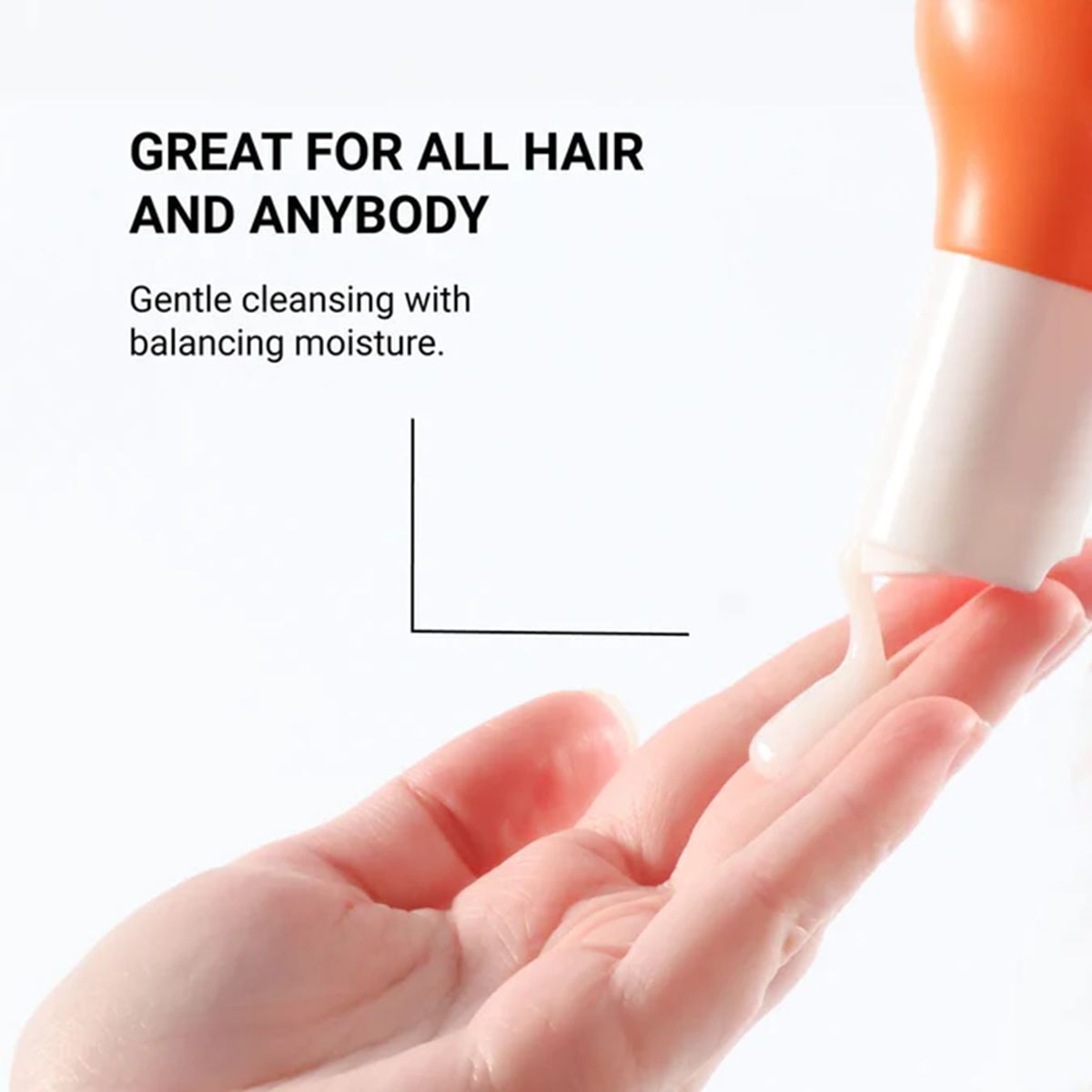 LOMA Shampoo