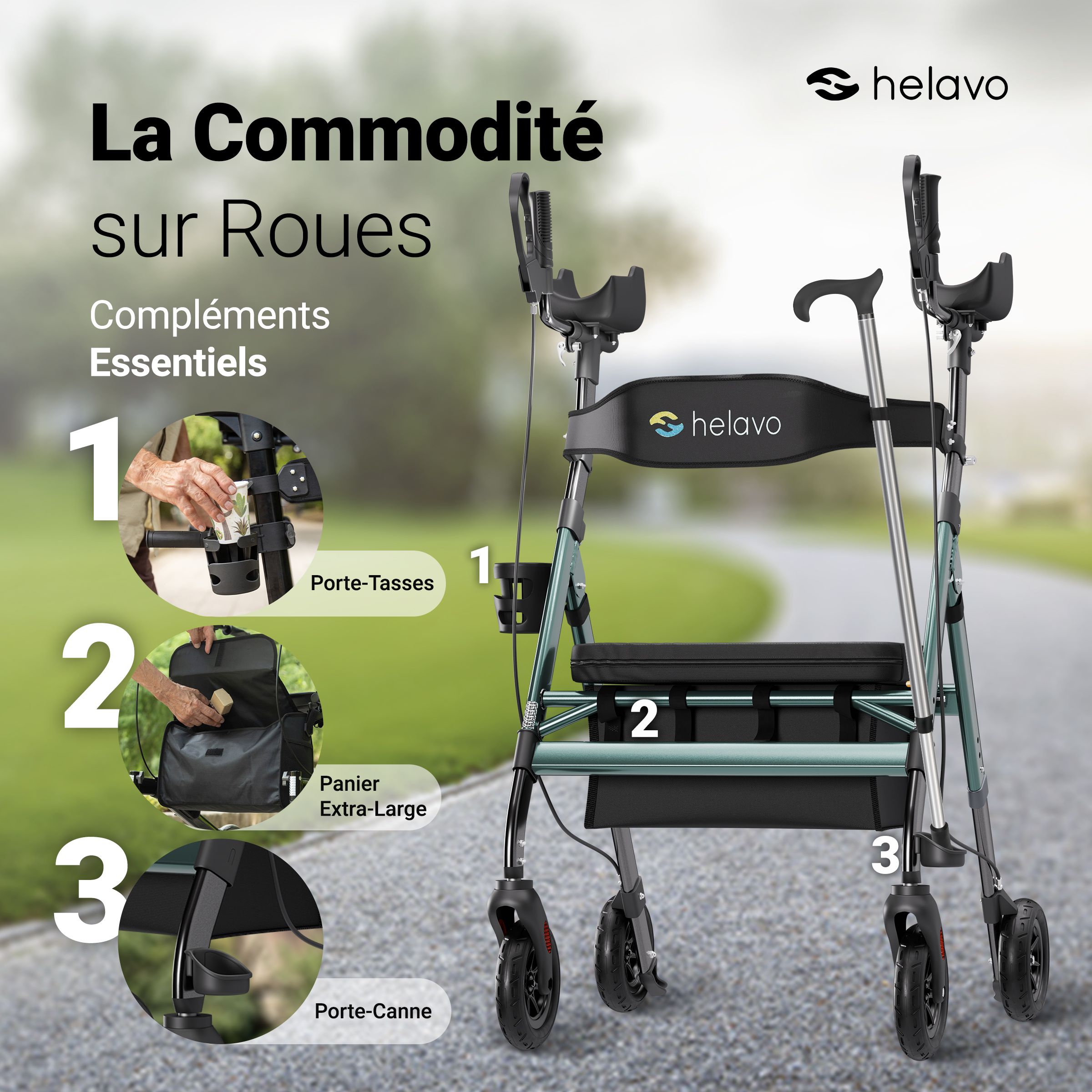 Rollator avec porte-gobelet, grand panier et porte-canne.