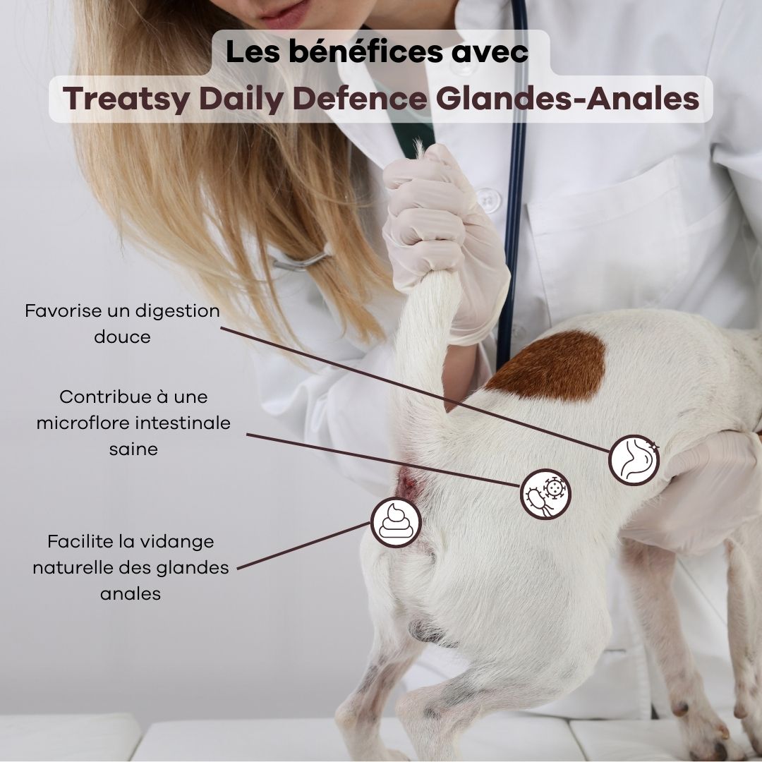 Vétérinaire examine un chien. Texte : Les bénéfices avec Treatsy Daily Defence Glandes-Anales. Graphiques montrent digestion.