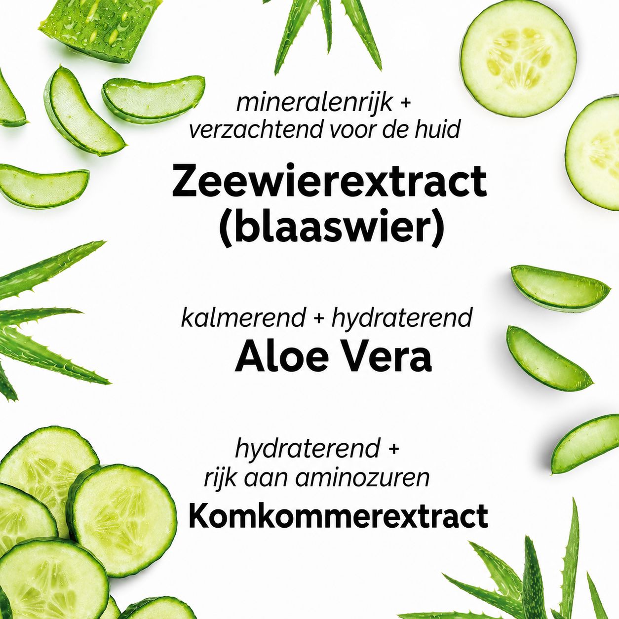 Mario Badescu gezichtsspray met aloë, komkommer en groene thee, etiket met productinformatie.