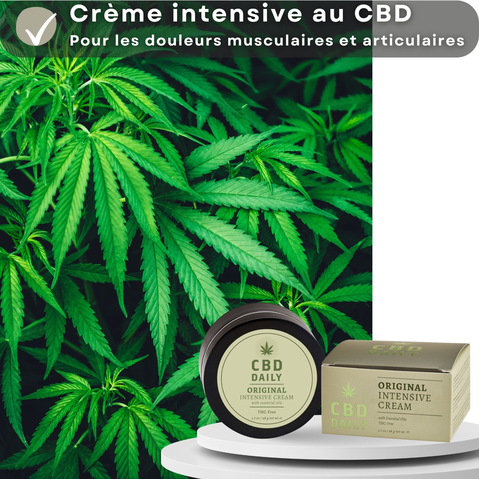 Pot et boîte de crème. Inscription: CBD DAILY. Fond: feuilles vertes.