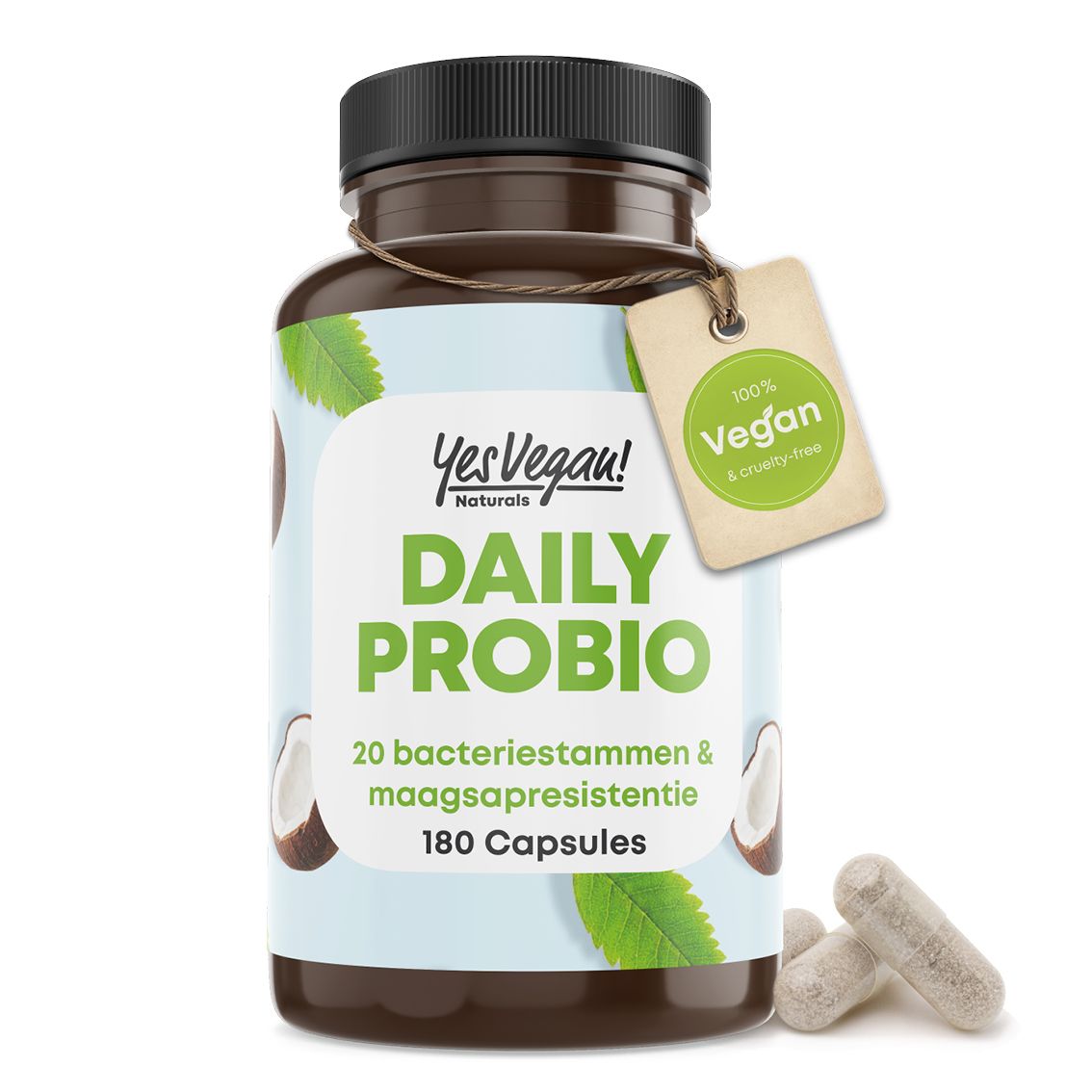 Gedetailleerde ingrediënten van Daily Probio: acaciapoeder, 20 bacteriestammen, kokosolie.