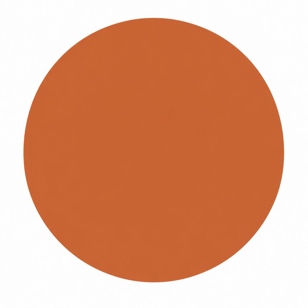 Een ronde, platte oranje cirkel op een witte achtergrond.