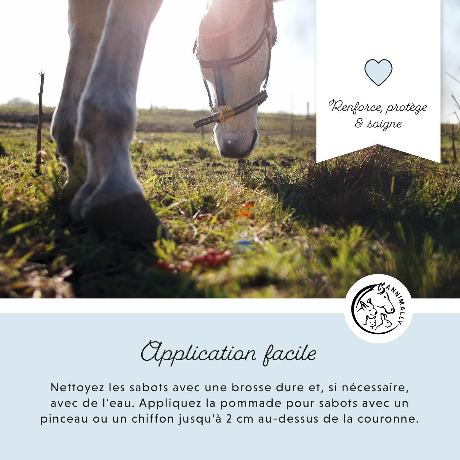 Cheval dans un champ. Texte : Application facile. Logo. Texte : Nettoyer, appliquer.