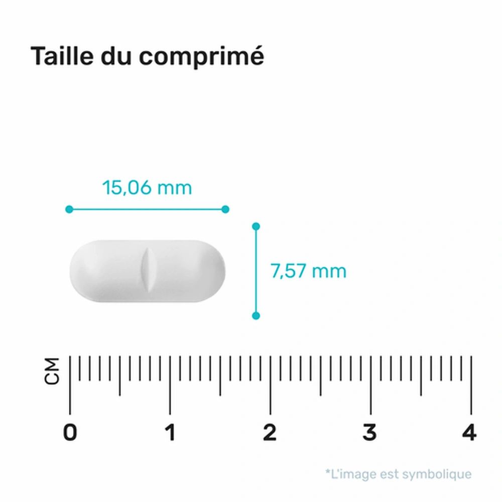 Gros plan sur un comprimé blanc. Dimensions : 15,06 mm x 7,57 mm. Avec échelle en cm.