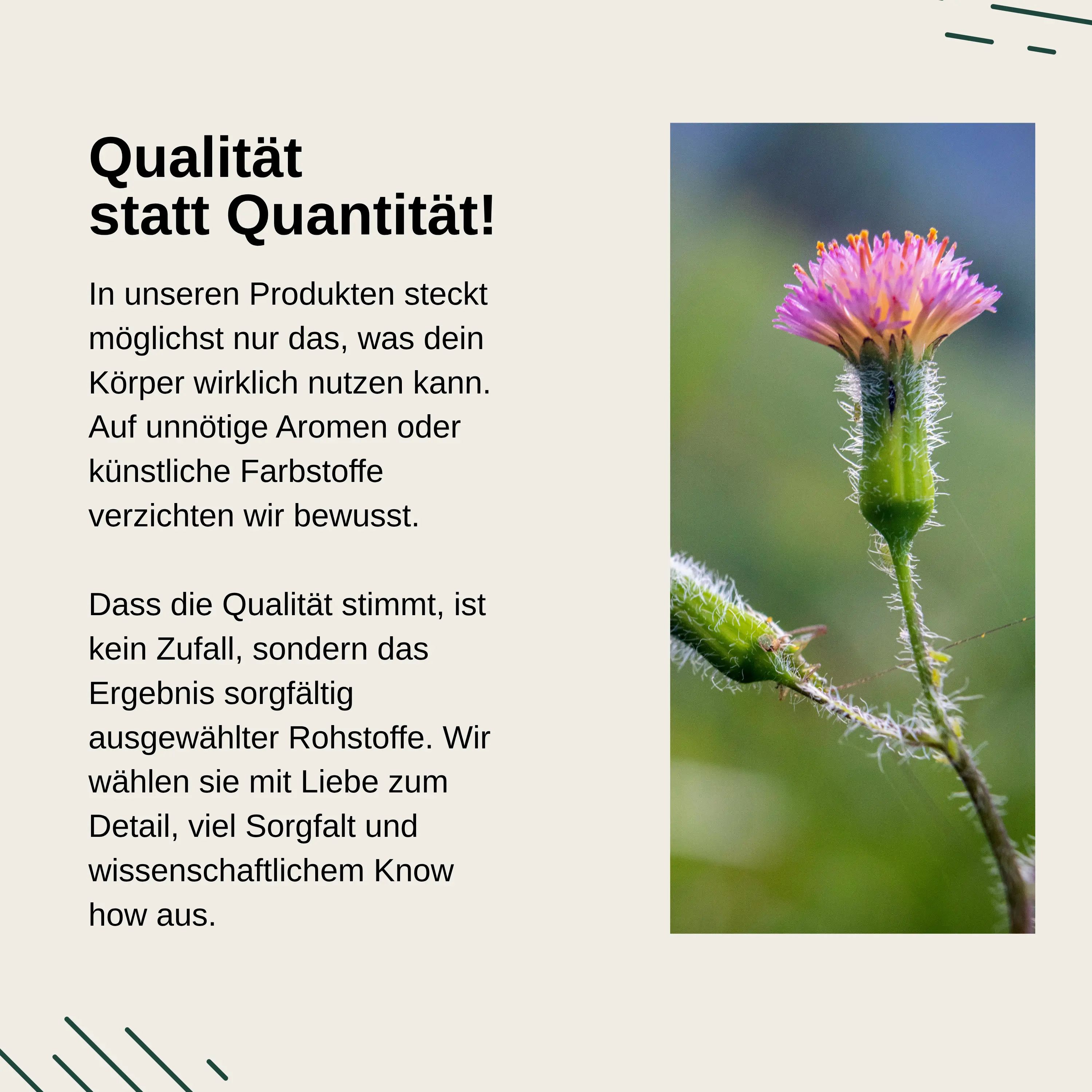 Fleur sur une tige au premier plan. Texte : Qualité plutôt que quantité pour les produits Vita Elements.
