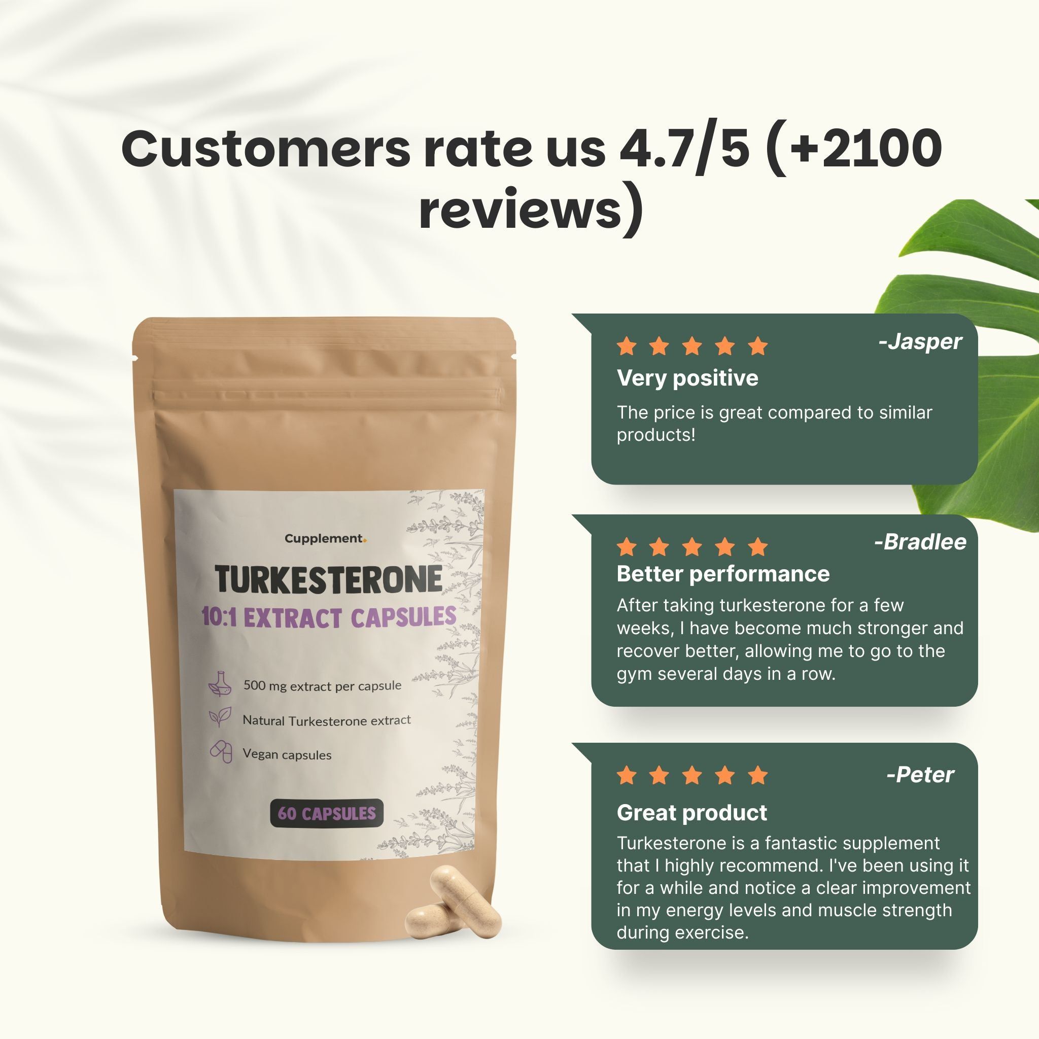 Sachet de gélules. Inscription : Turkesterone 10:1 Extract Capsules. 60 gélules. 500 mg d'extrait par gélule. Avis clients.