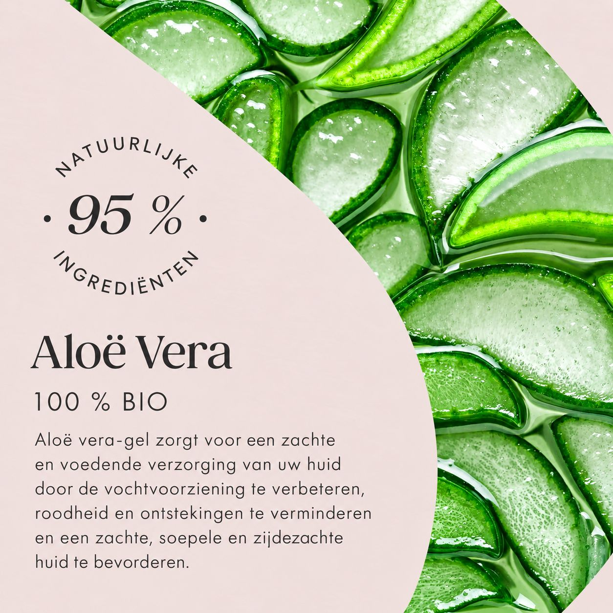 95% natuurlijke ingrediënten. Biologische aloë vera: Kalmeert, hydrateert, vermindert roodheid.