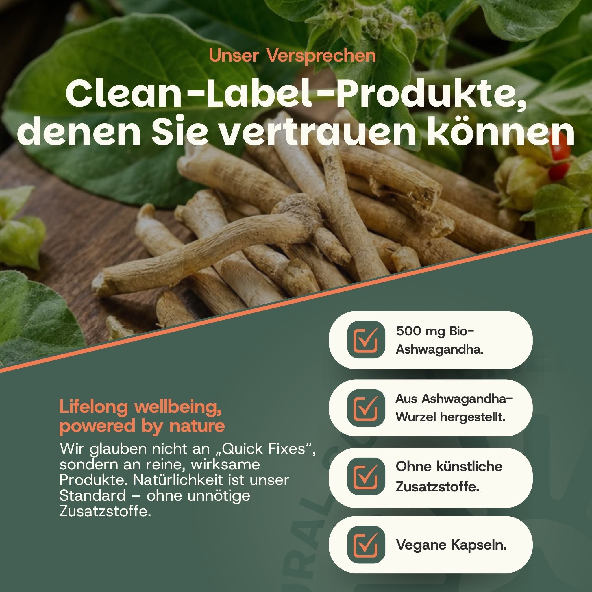 Ashwagandha-capsules: 500 mg biologisch Ashwagandha-wortelextract, vegan, zonder toevoegingen.