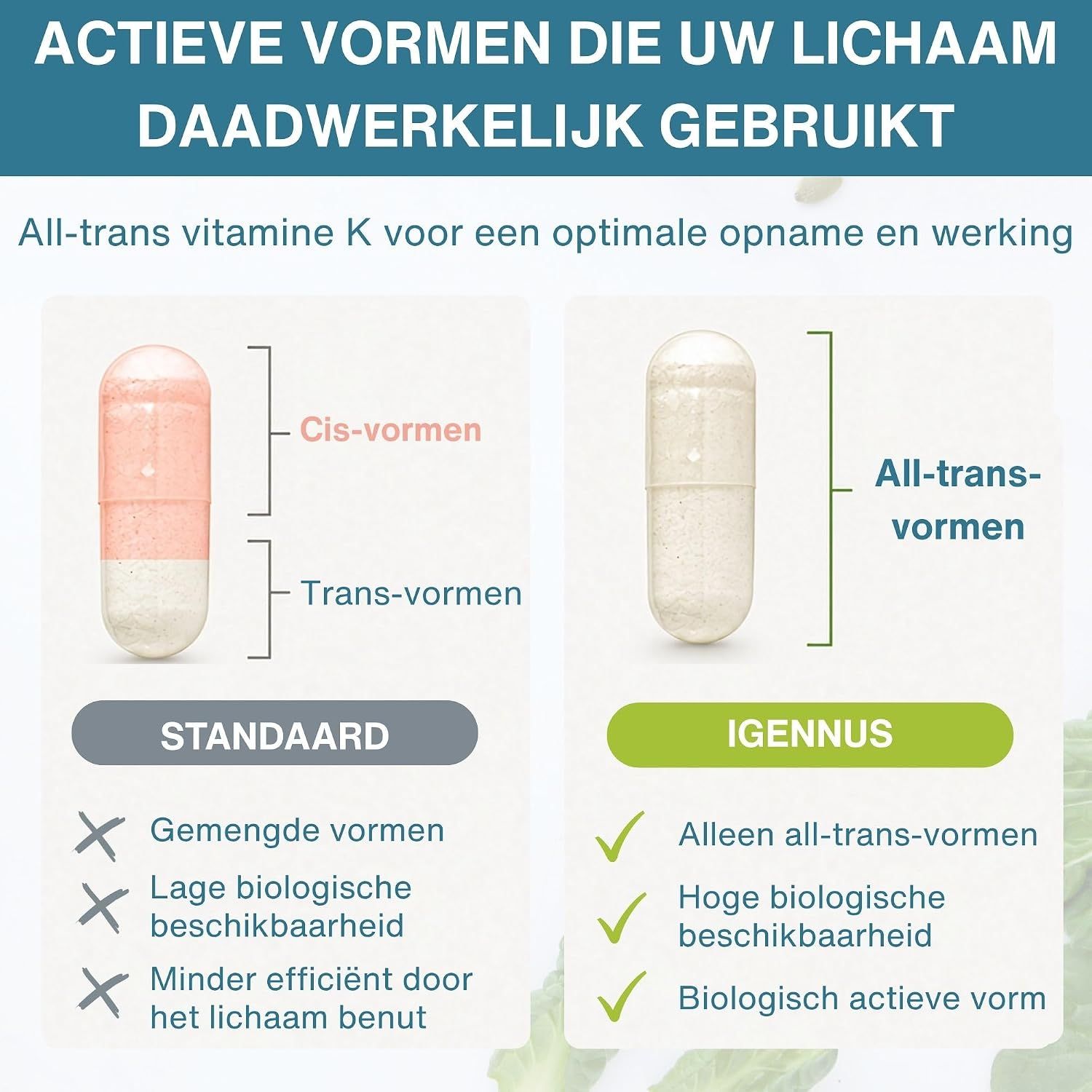 Vergelijking van standaard vitamine K capsules met All-trans vitamine K capsules, die een betere opname en biologische activiteit tonen.