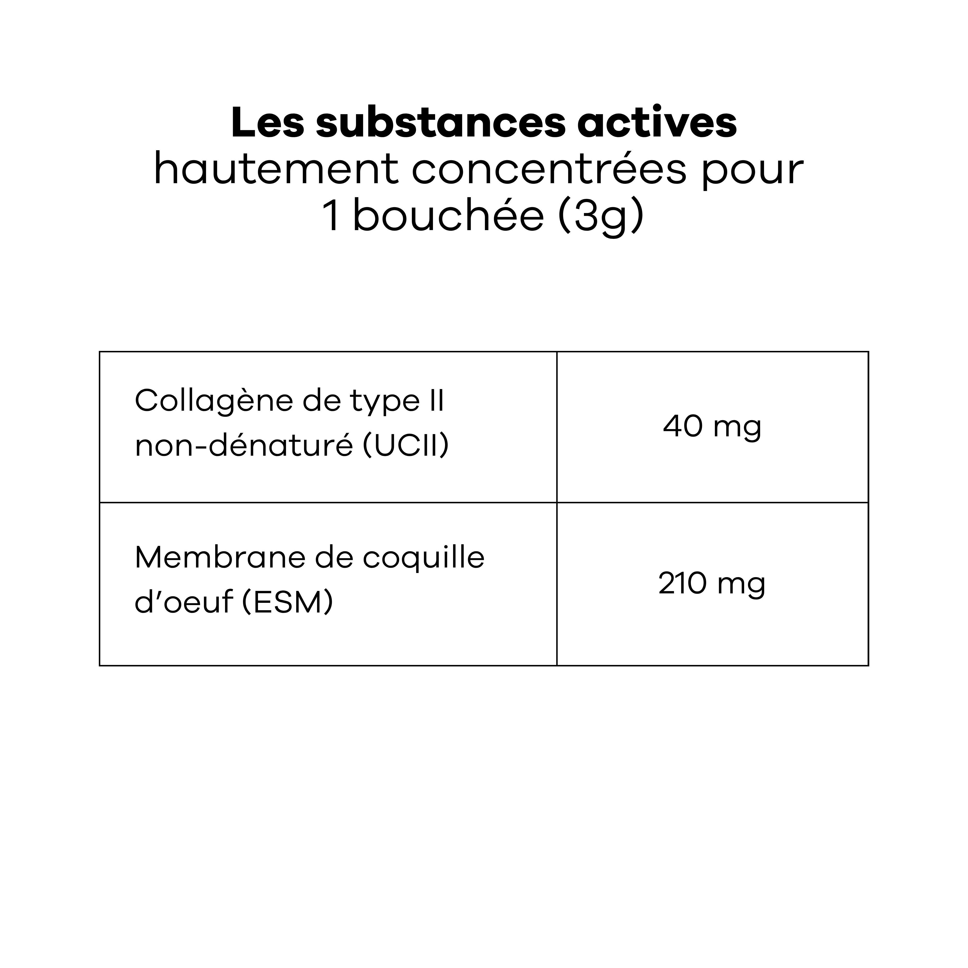 Treatsy Complément Alimentaire – Mobilité pour chiens de grandes tailles (+25kg)