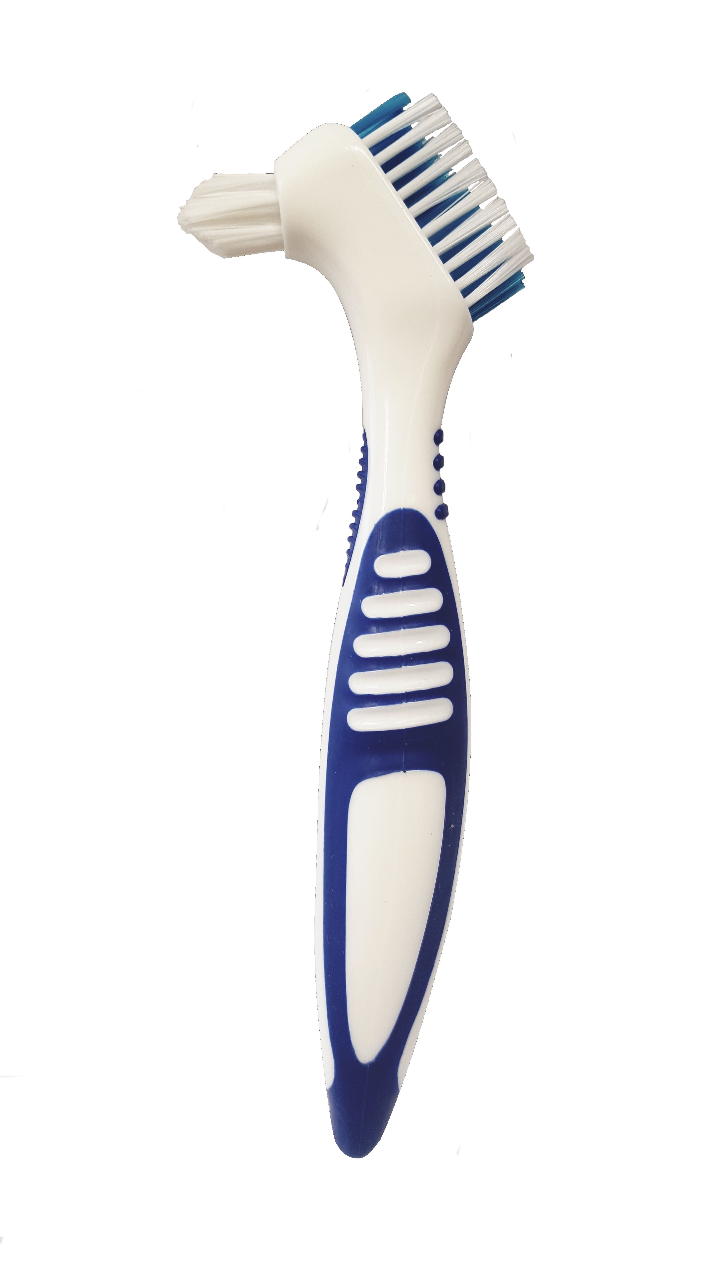 Brosse à prothèse dentaire, manche bleu et poils bleus. Tête de brosse en deux parties. Plastique blanc.
