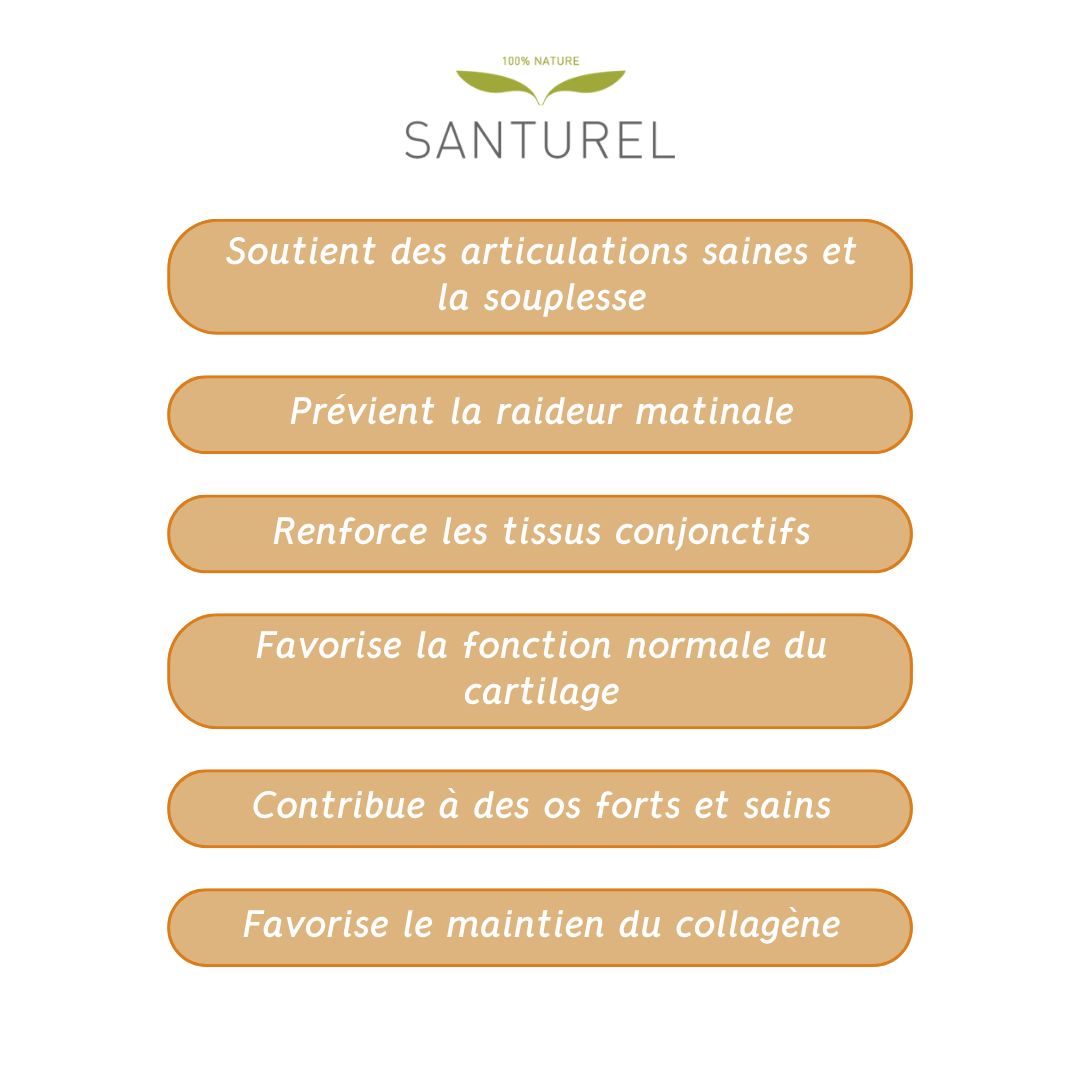 Champs de texte : Soutient les articulations, prévient la raideur, favorise le cartilage, renforce les tissus, soutient les os.