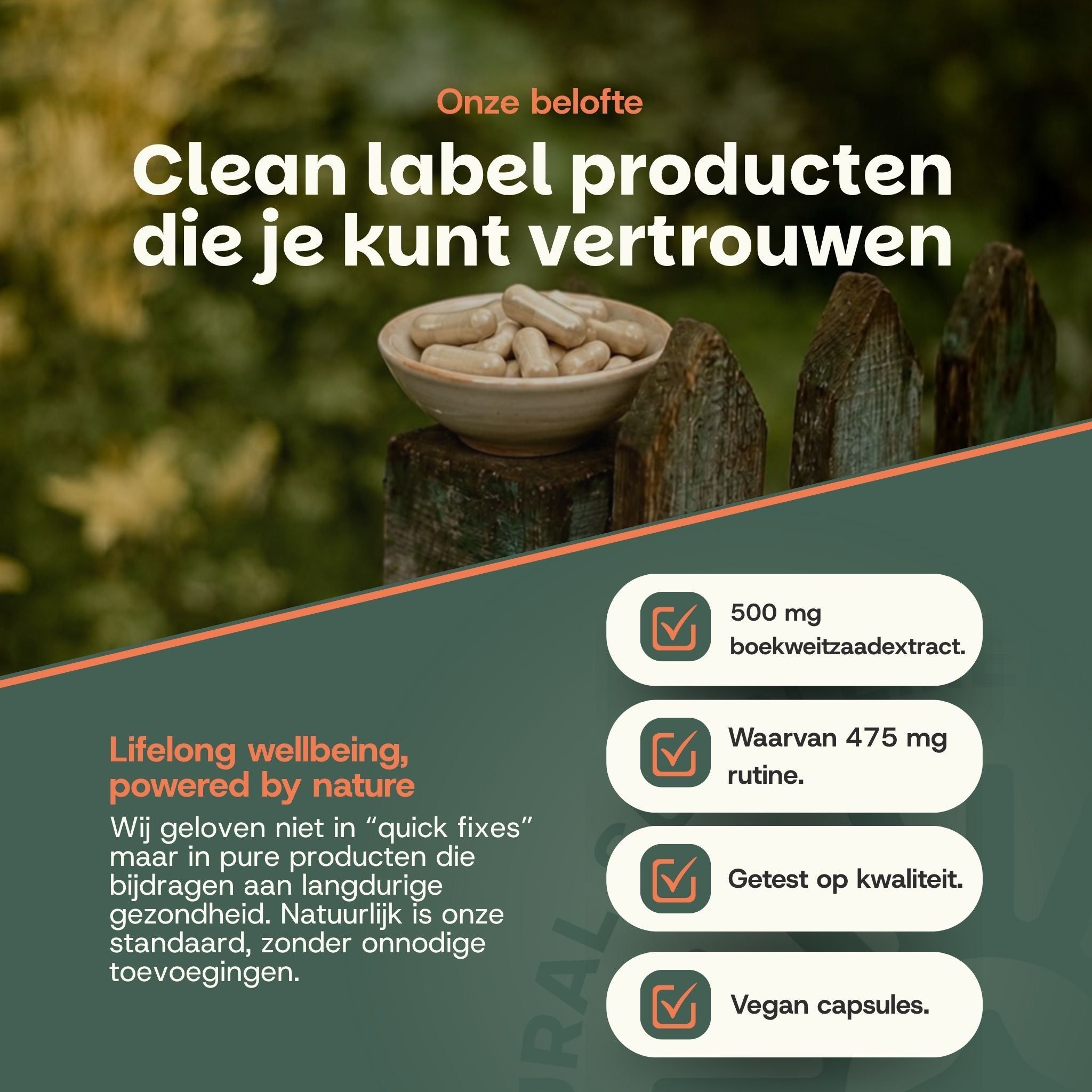 Schaal met capsules, 500 mg boekweitzadextract, 475 mg rutine, getest op kwaliteit, vegan capsules.