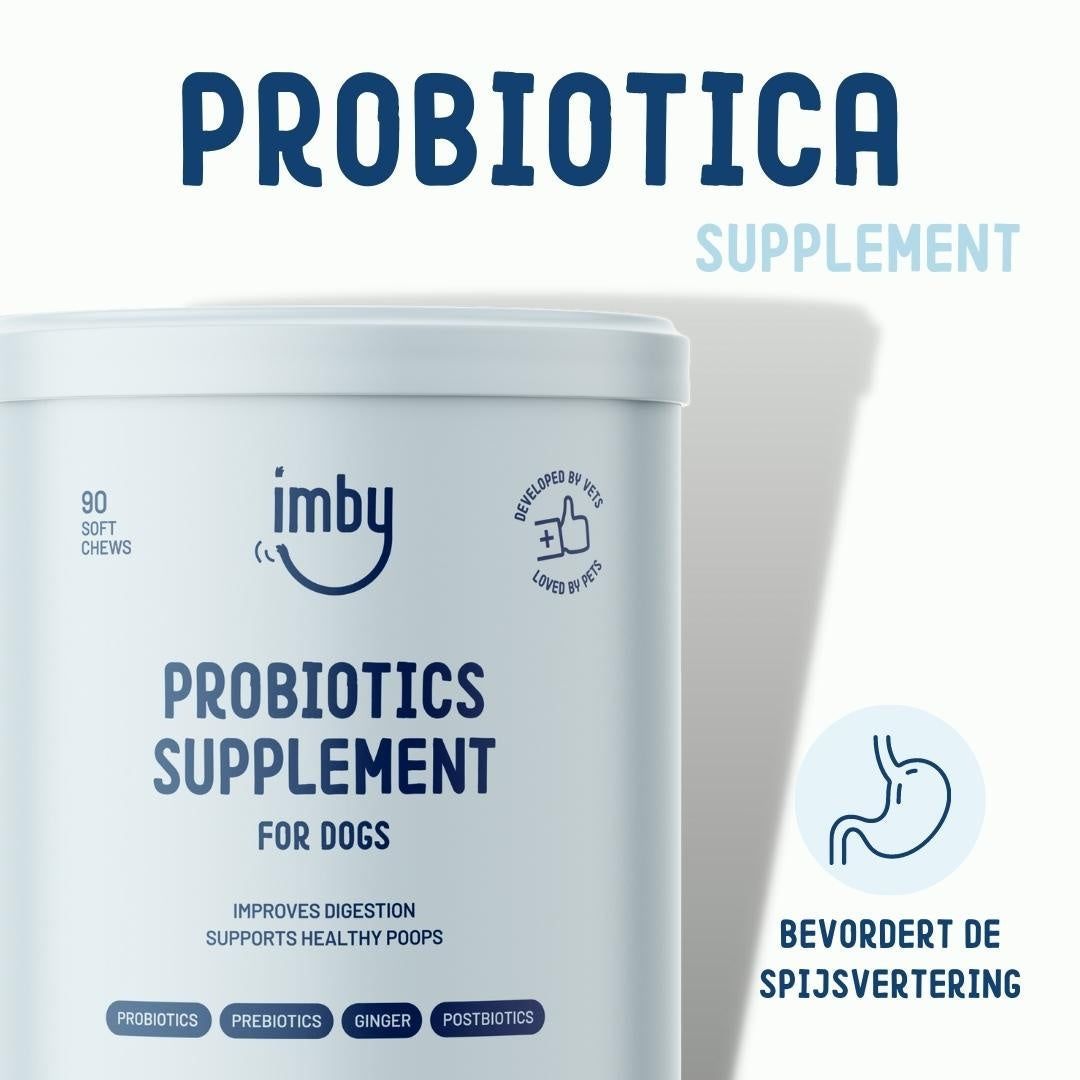 Imby Probiotica Supplement: actieve ingrediënten zoals probiotica, prebiotica, gember, postbiotica.