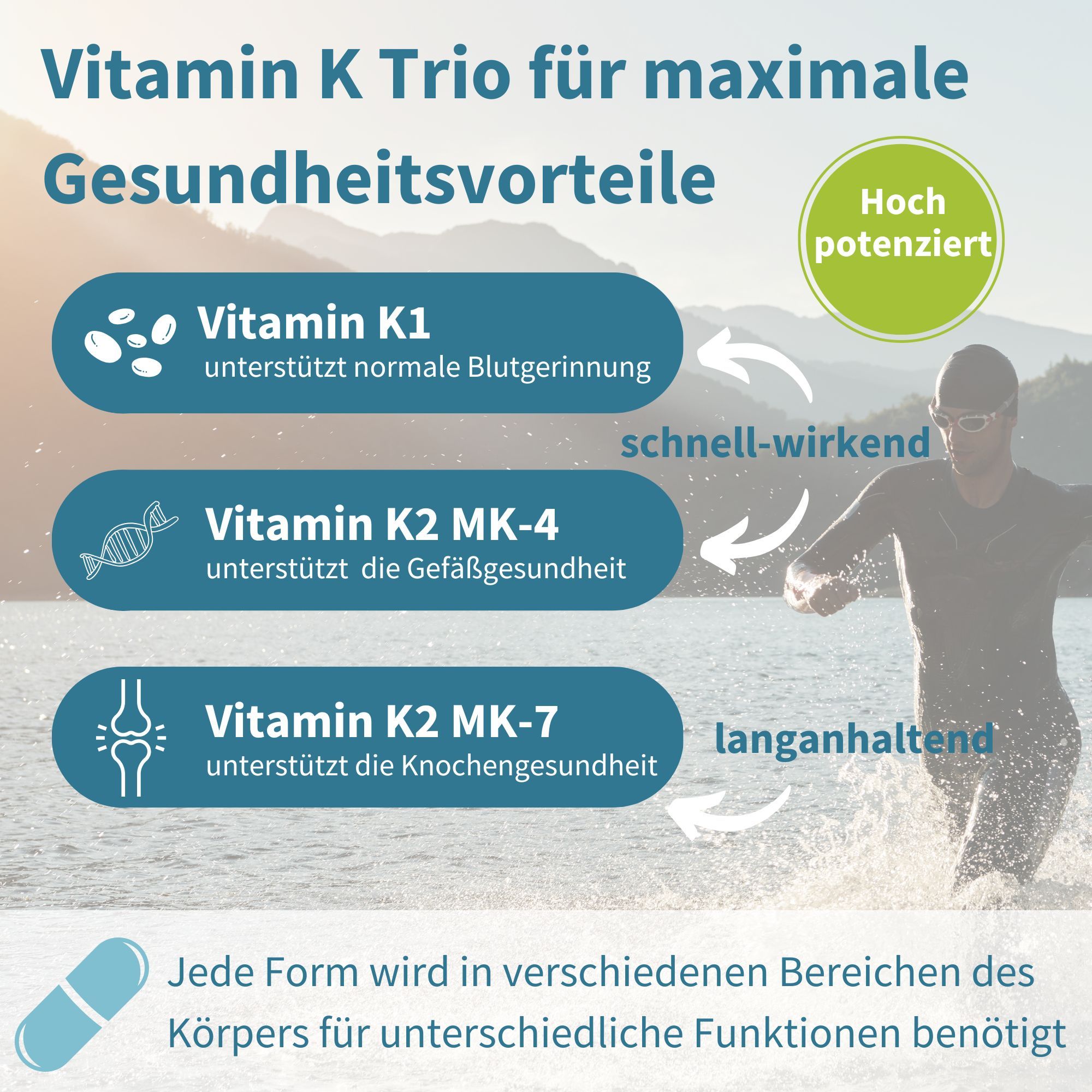 Grafiek toont Vitamine K1, K2 MK-4, K2 MK-7 voor bloedstolling, bloedvaten, botten.