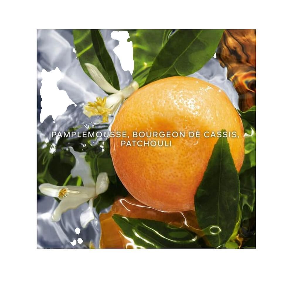 Sinaasappel, bloemen en bladeren in water. Tekst: Pamplemousse, Bourgeon de Cassis, Patchouli.