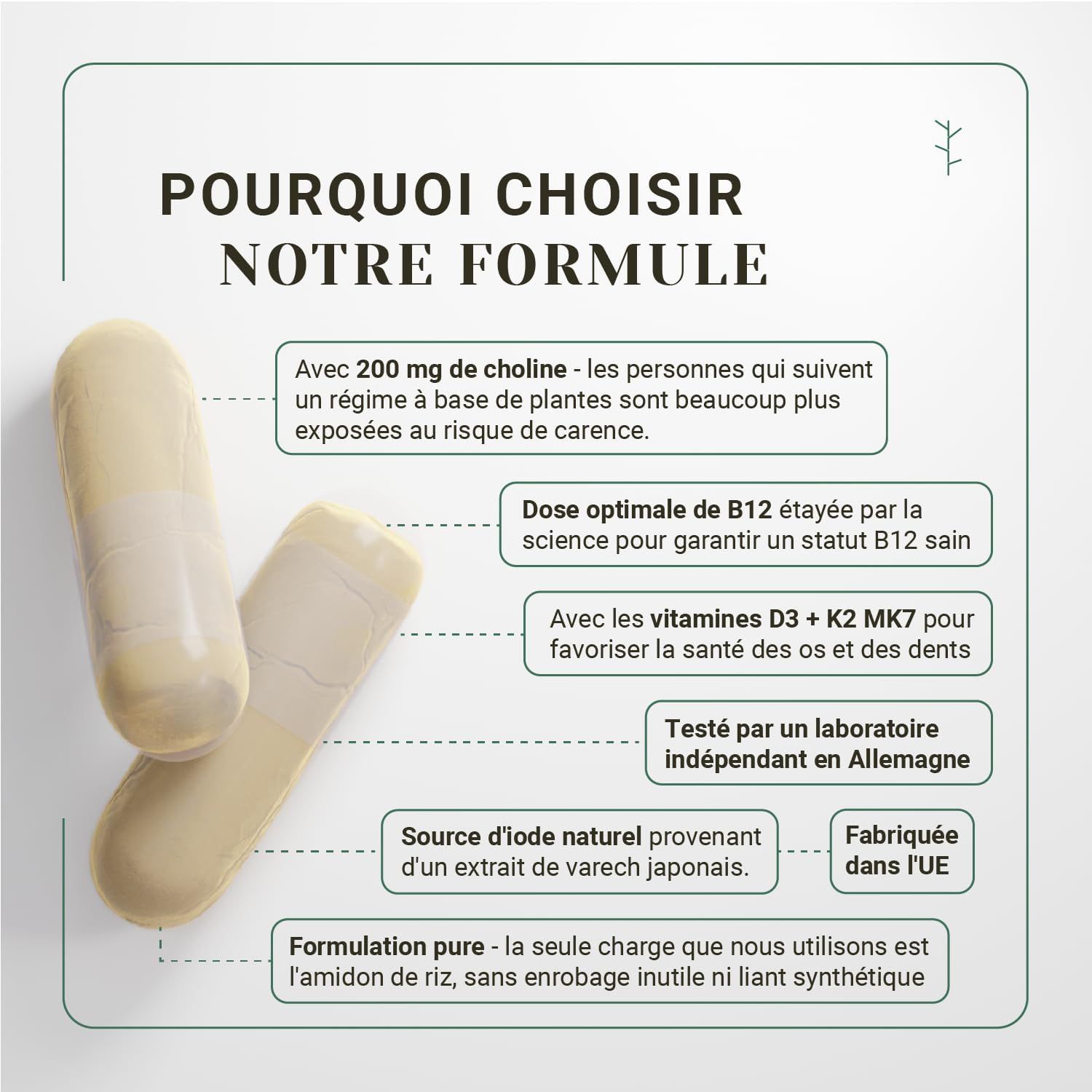 Deux gélules jaune pâle, l'une posée sur l'autre. Texte explicatif sur la formule.