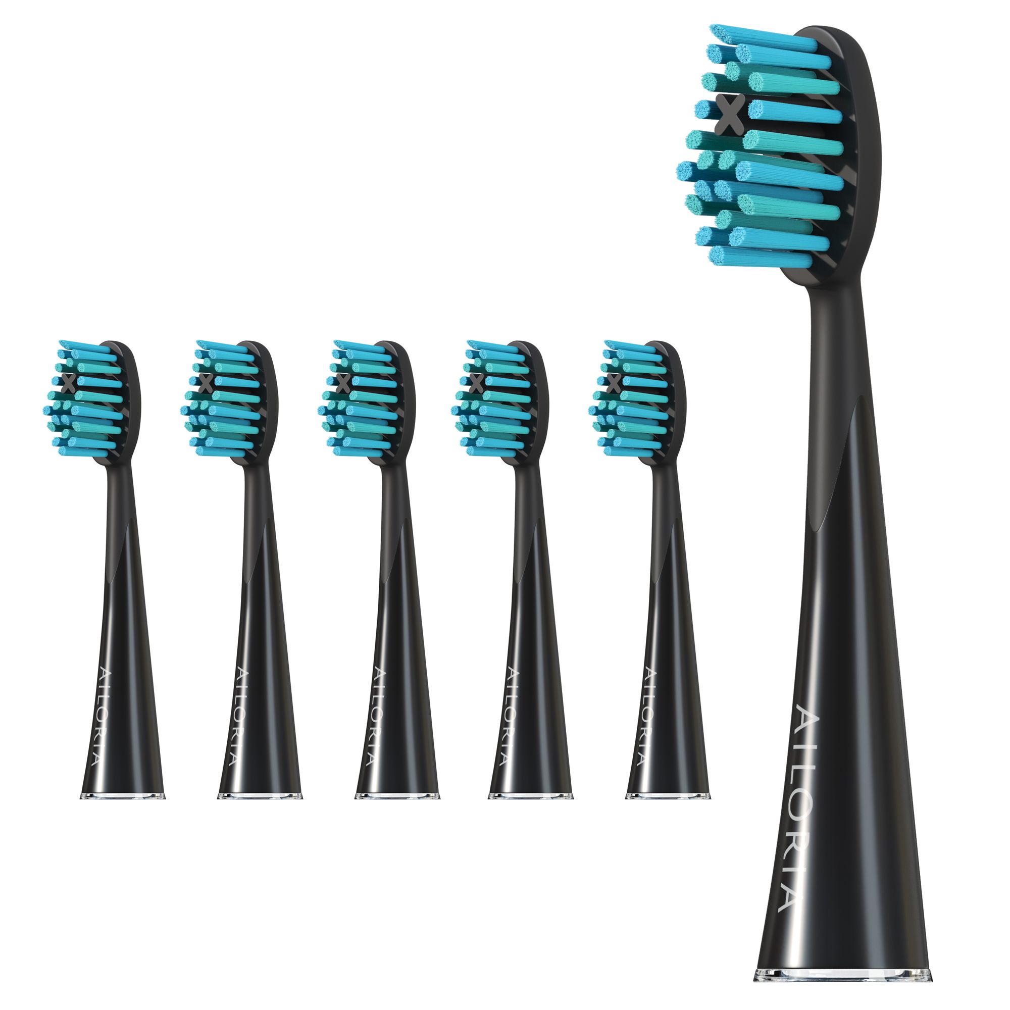 Six têtes de brosse noires avec des brins bleus. Une tête est debout, les autres sont à côté. Logo AILORIA visible.