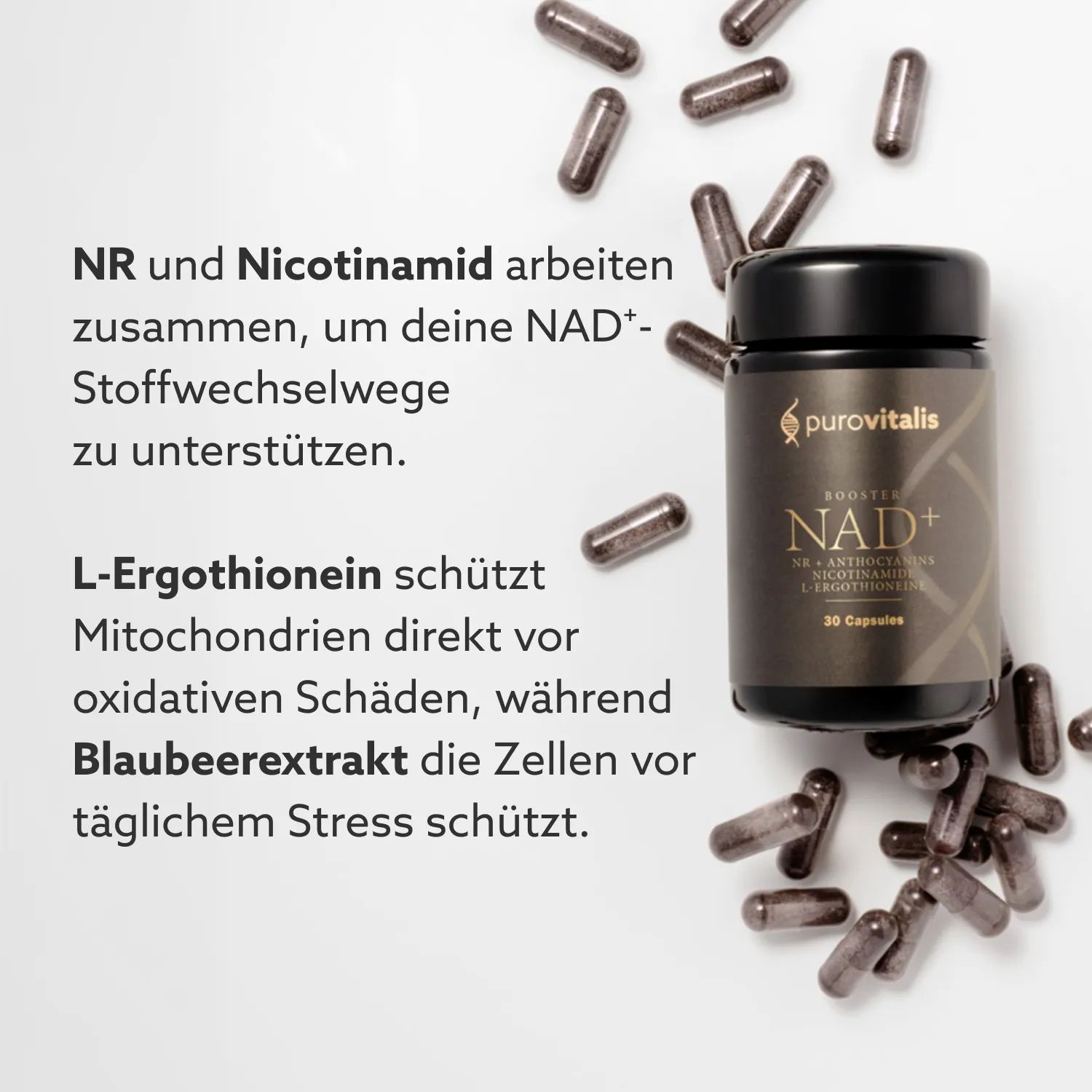 Fles en capsules. Tekst: NR en Nicotinamide ondersteunen NAD+ stofwisseling. L-Ergothioneïne beschermt mitochondriën. Blauwe bessen extract beschermt cellen.