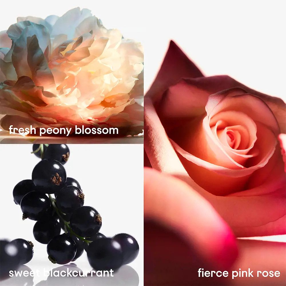 Gros plans de pivoine, rose et cassis. Texte: fresh peony blossom, fierce pink rose, sweet blackcurrant.