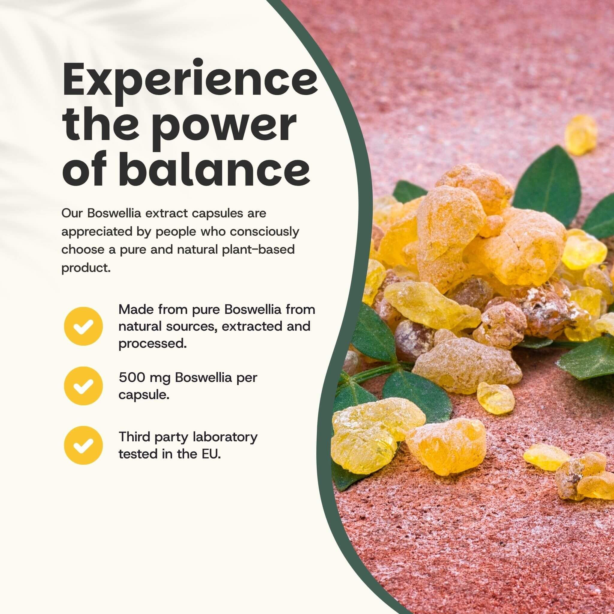 Cupplement - Extrait de Boswellia 500 mg