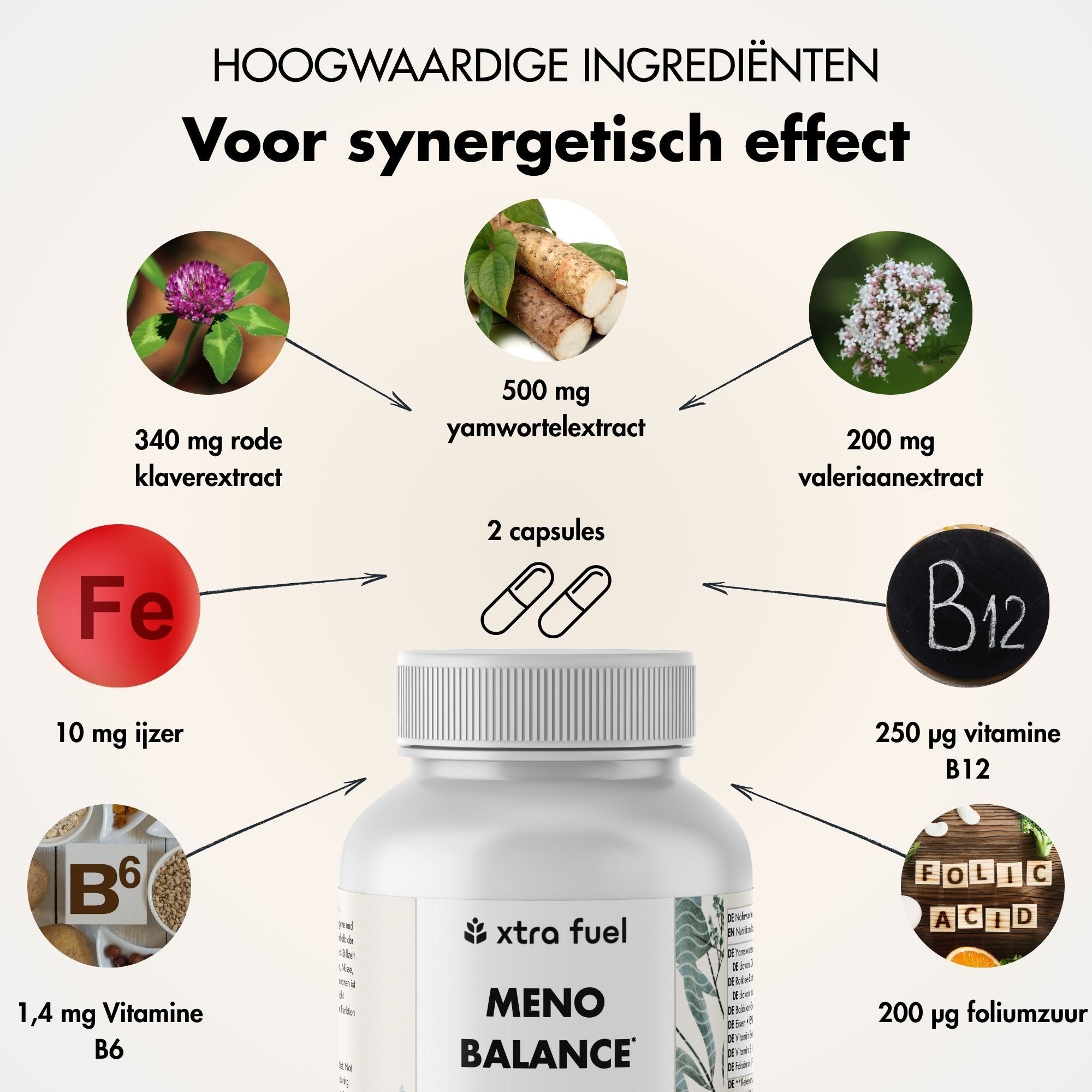 Grafiek met ingrediënten. 2 capsules, 500 mg yamwortelextract, 340 mg rode klaverextract, 200 mg valeriaanextract, 10 mg ijzer, vitamines.