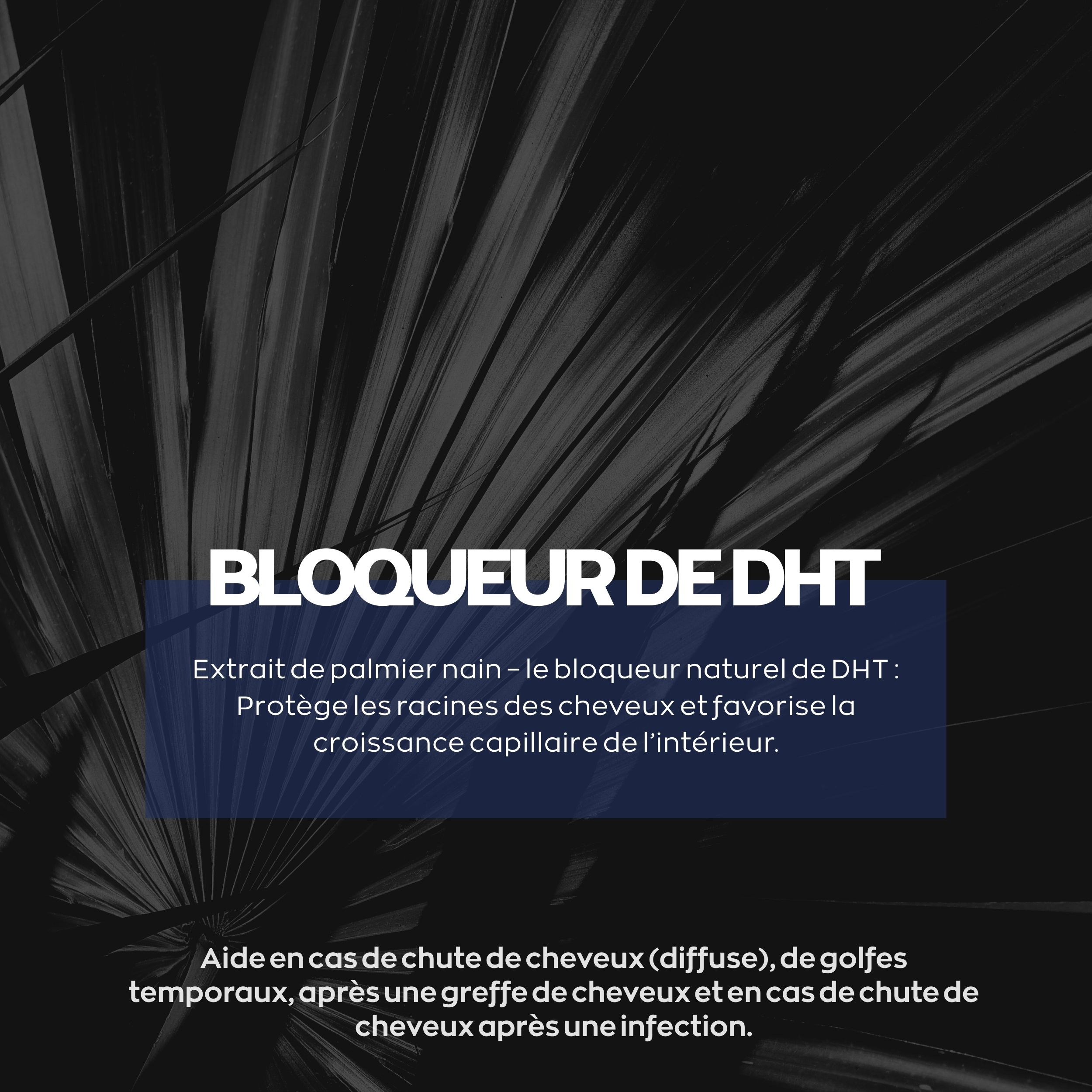 Fond bleu avec texte : Bloqueur de DHT. Texte sur l'extrait de palmier nain. Aide à la chute des cheveux.