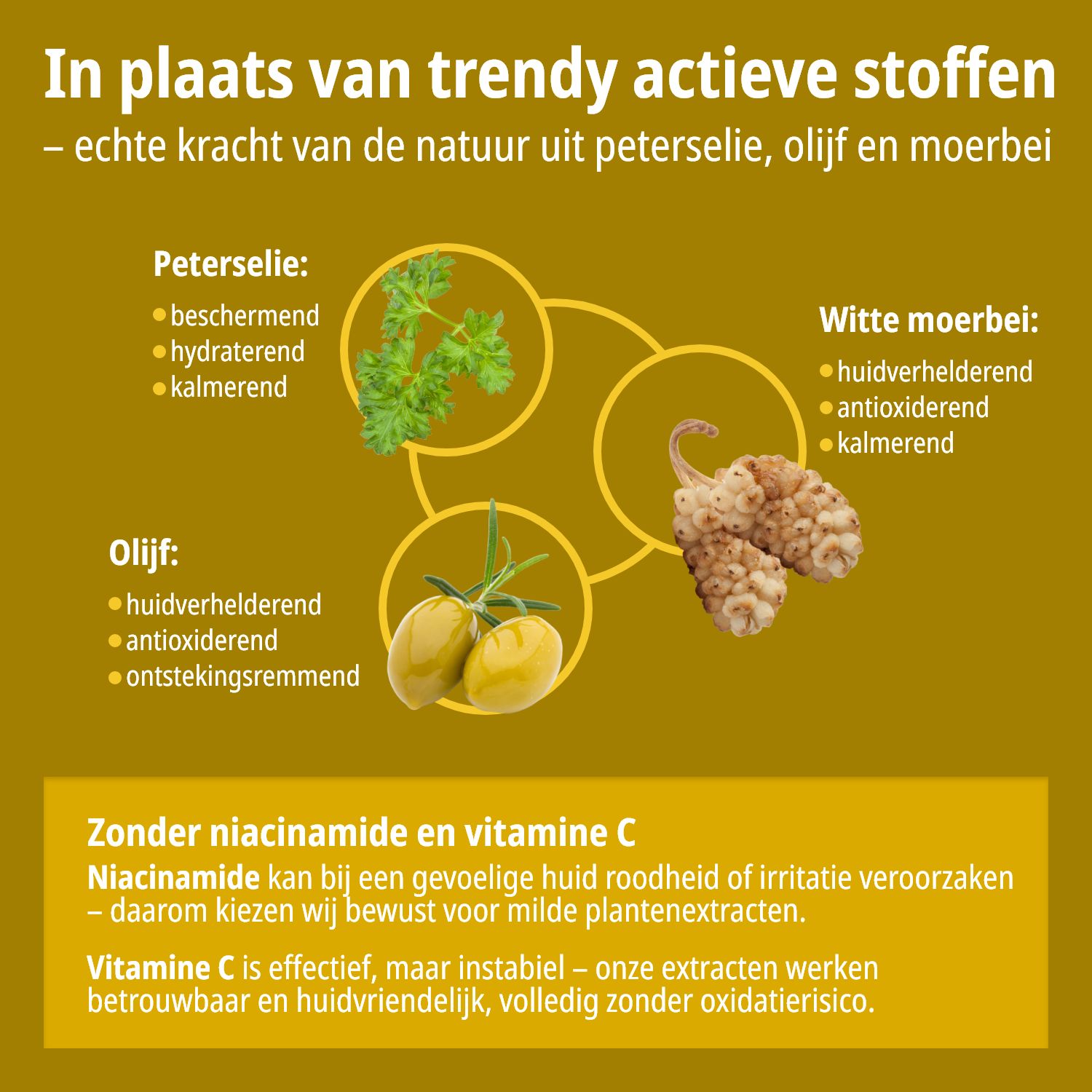 Ingrediënten: Peterselie, olijf, witte moerbei. Tekst: Echte kracht van de natuur. Zonder niacinamide en vitamine C.