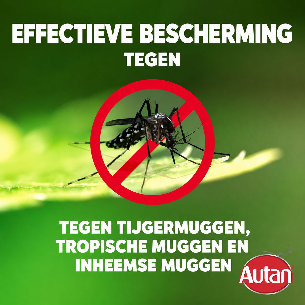 Een mug in een rood verbodsteken. Tekst: Effectieve bescherming tegen tijgermuggen, tropische en inheemse muggen. Merk: Autan.
