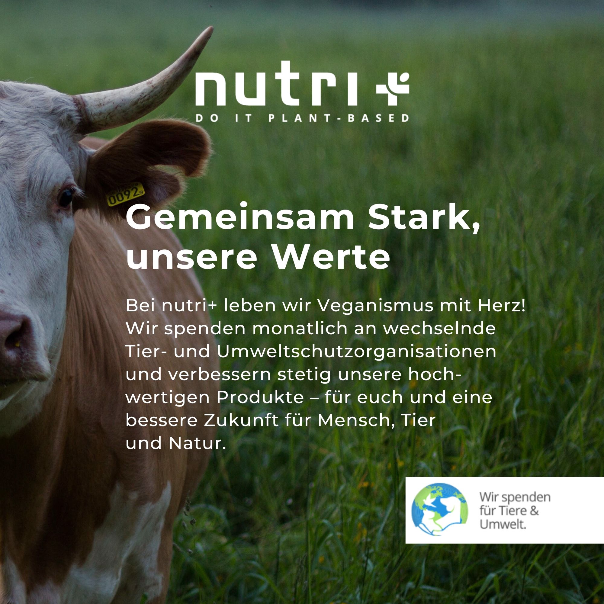Vache dans un pré. Texte : Forts ensemble, nos valeurs. Informations sur les valeurs végétaliennes et les dons pour les animaux et l'environnement.