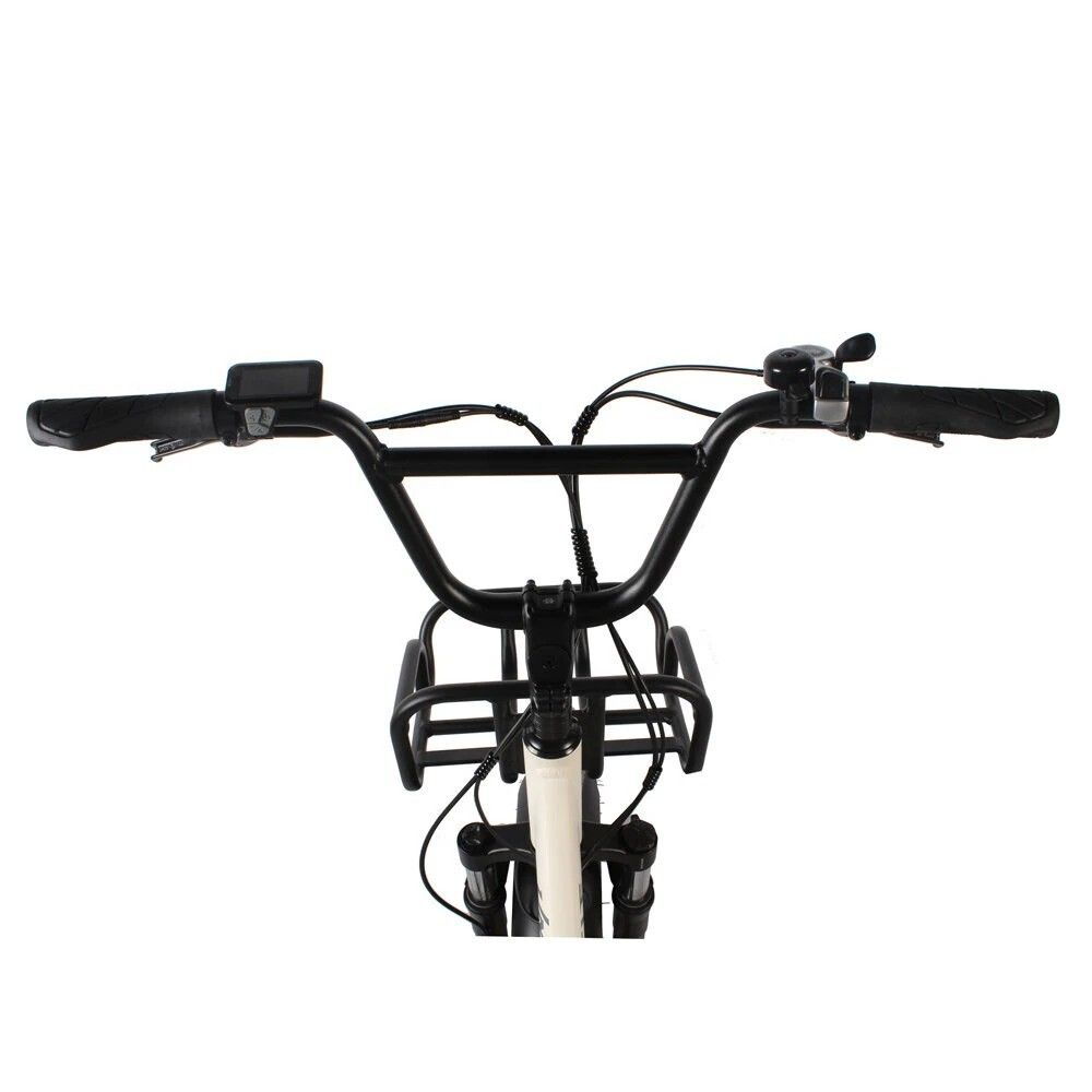 Univercycle B5(Venere) Elektrische fiets met voordrager, 48V 15AH accu