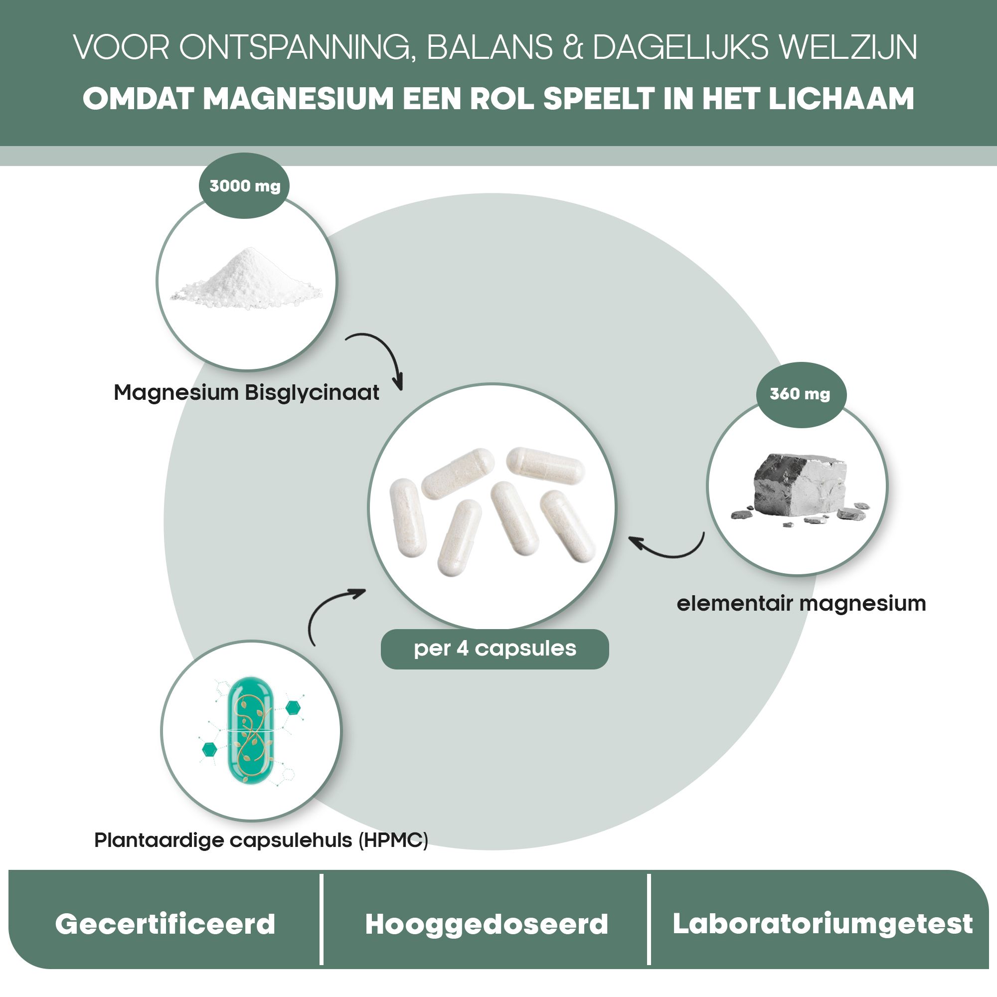 Pot Magnesium Bisglycinaat met info: 3000mg, hoge biologische beschikbaarheid, 120 capsules.