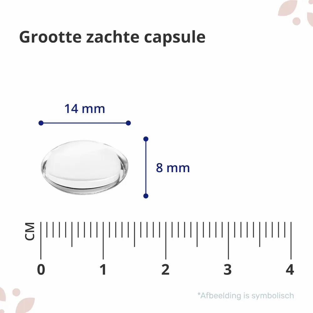 Zachte capsule met afmetingen: 14 mm x 8 mm. Op witte achtergrond. Maten in cm.