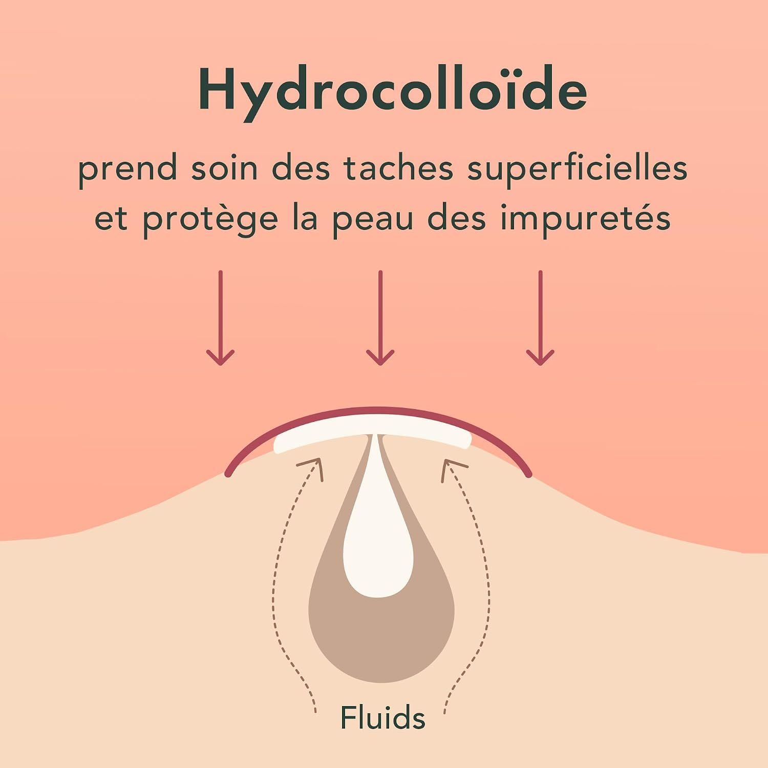 Schéma montrant un pansement hydrocolloïde sur la peau, absorbant les fluides.
