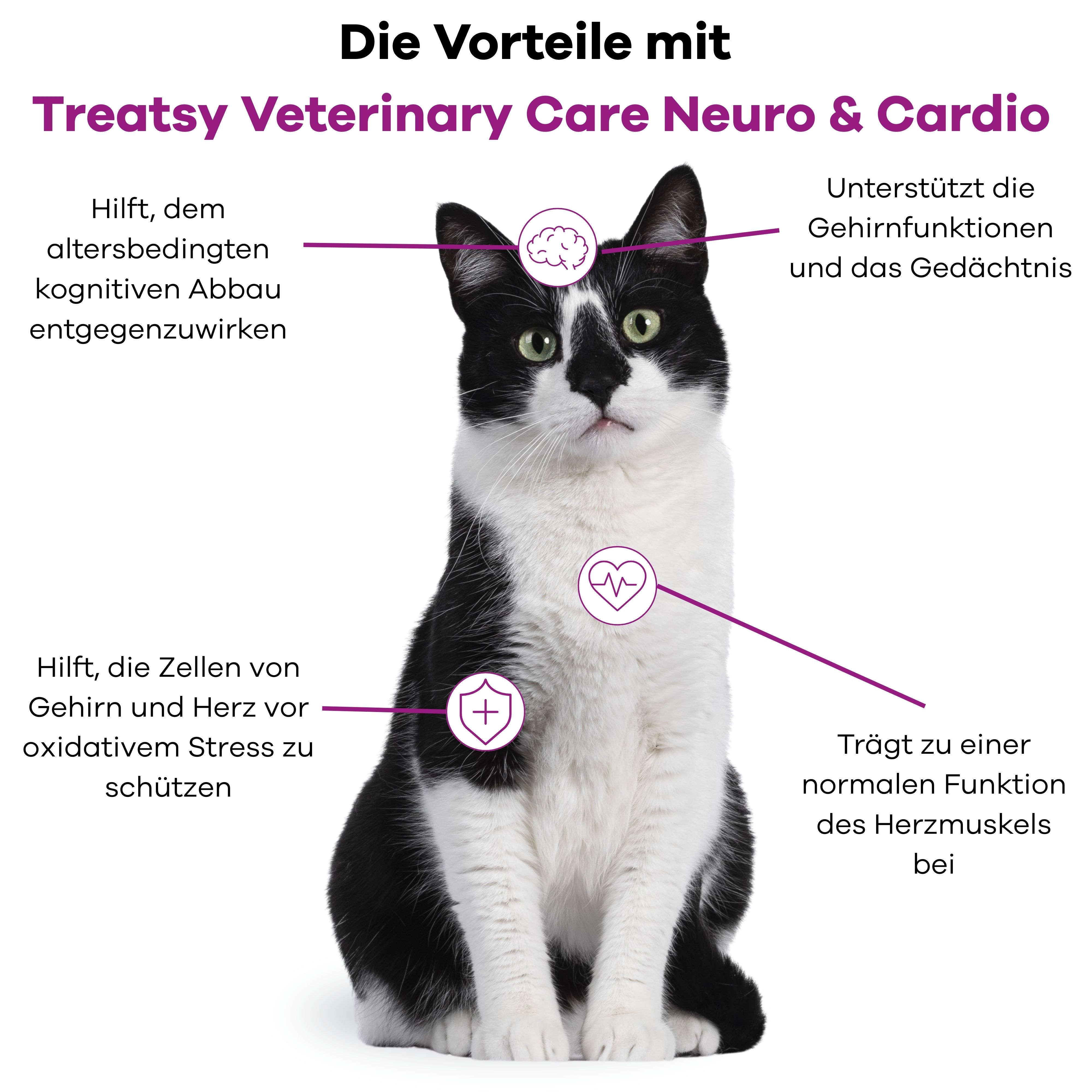 Kat met diagram. Voordelen van Treatsy Veterinary Care Neuro & Cardio. Tekst en symbolen voor hersenen en hart.