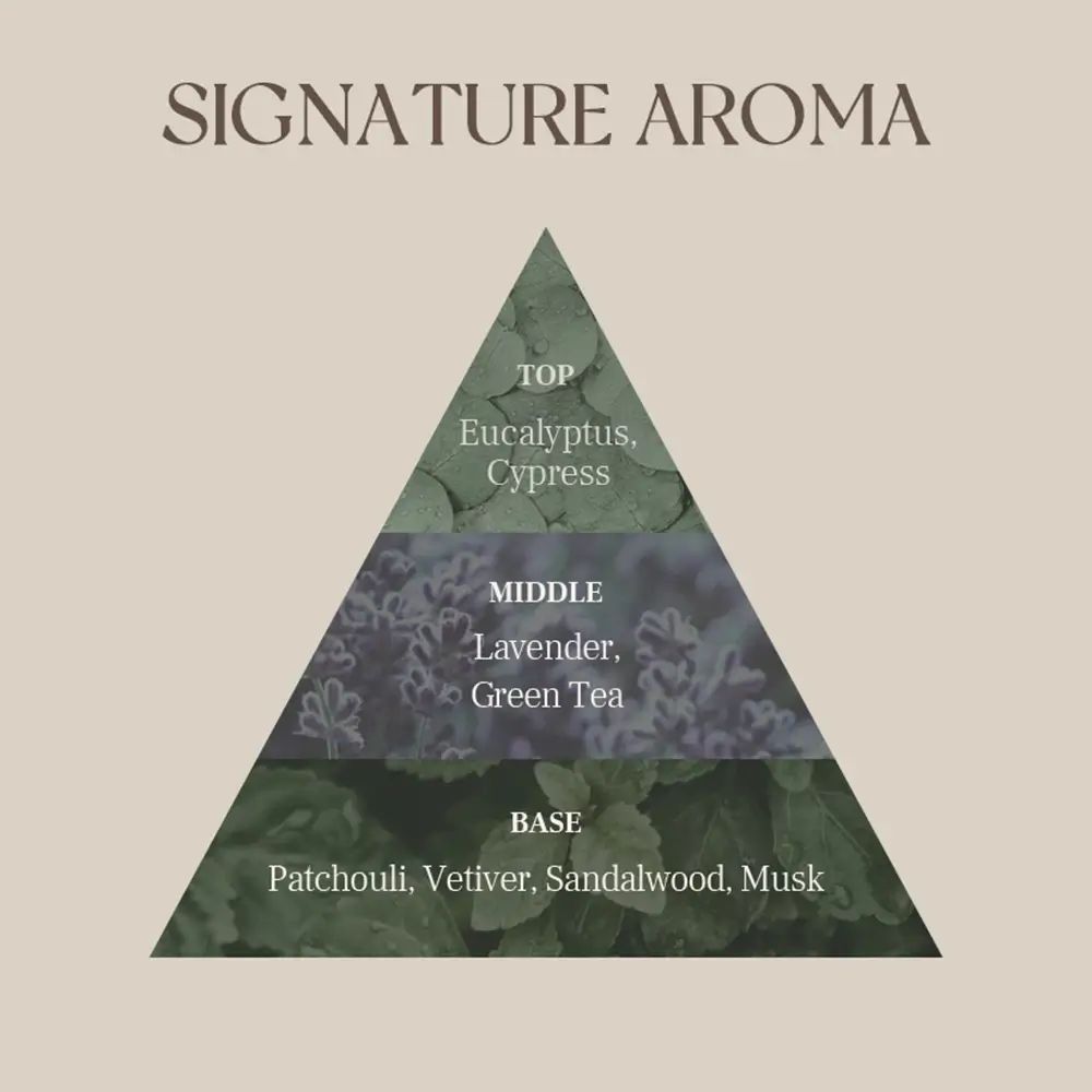 Piramide met de geurnoten: Eucalyptus, Cipres, Lavendel, Groene thee, Patchouli, Vetiver, Sandelhout, Muskus.