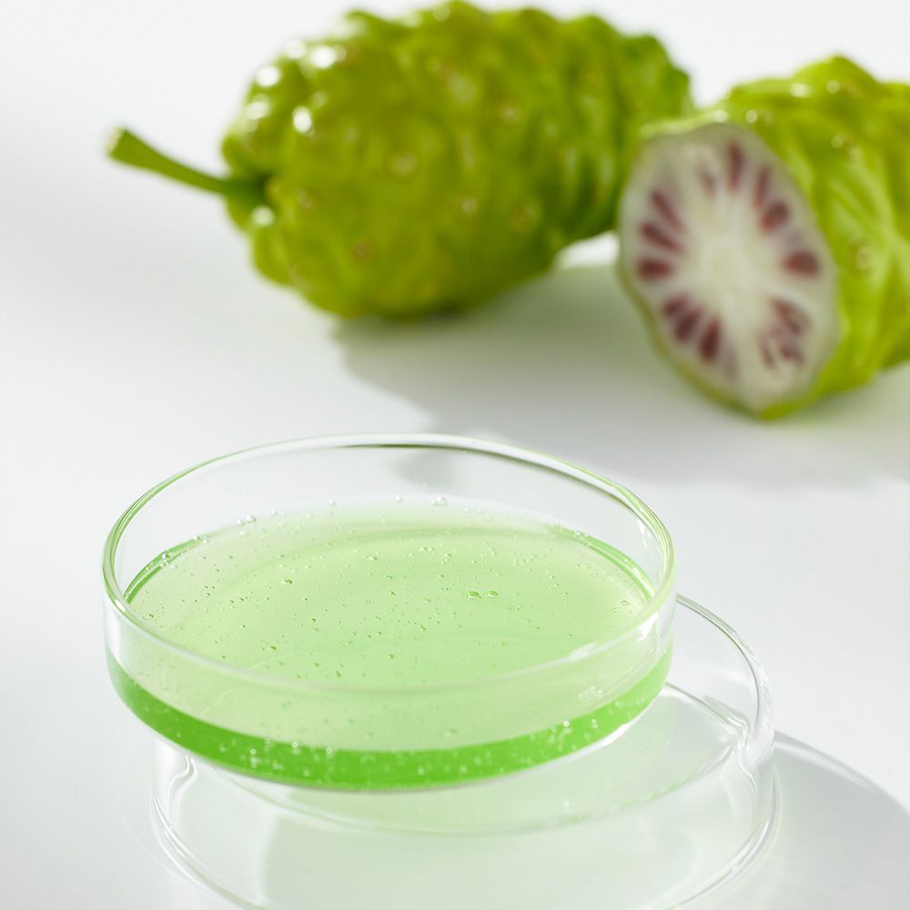 Fruit de noni et liquide vert dans une boîte de Pétri.