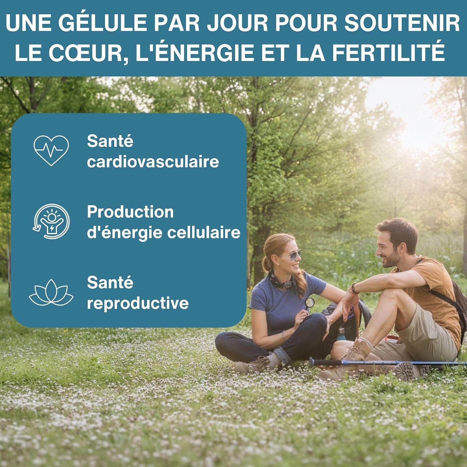 Une gélule par jour pour le cœur, l'énergie et la fertilité : santé cardiovasculaire, énergie cellulaire, santé reproductive.