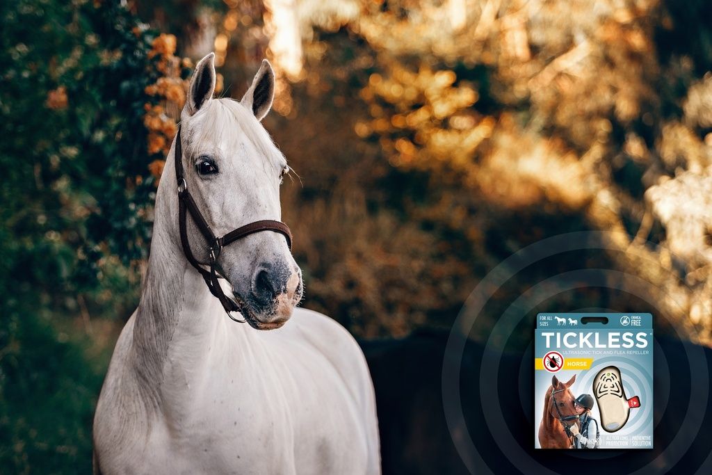 Cheval blanc avec licol. Emballage avec nom du produit, cheval, appareil. Texte : 'TICKLESS'.