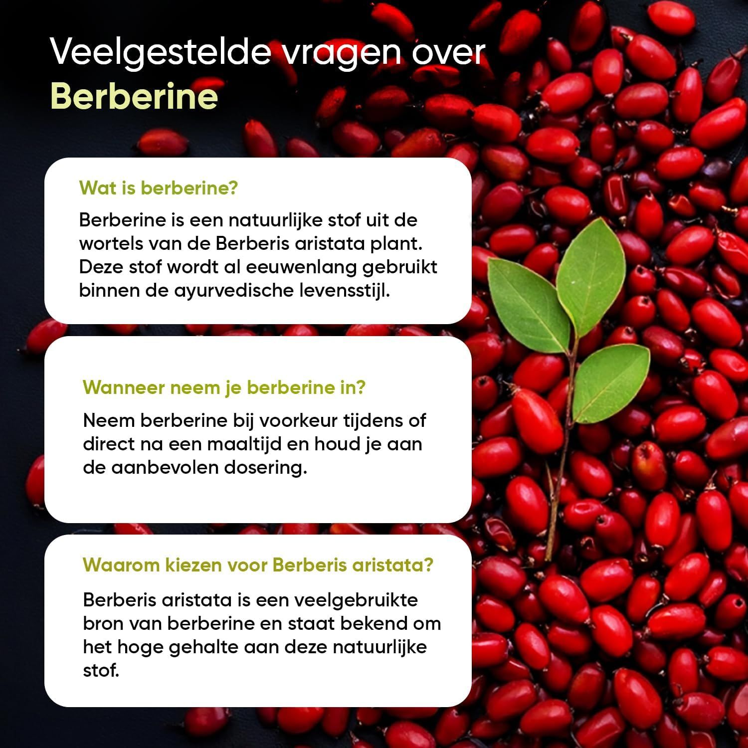 Rode barberries met groene blaadjes en tekst over berberine.