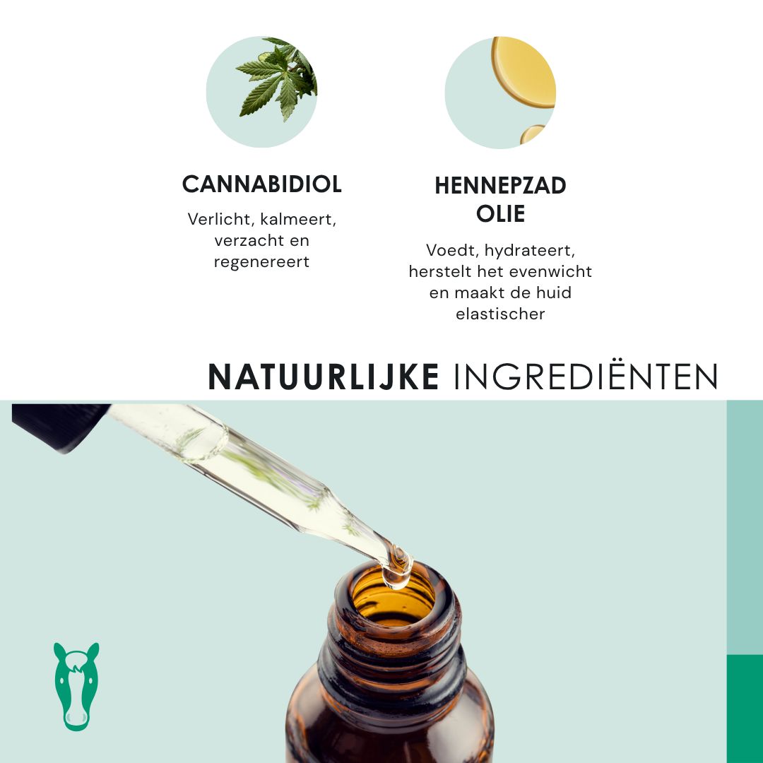 Ingrediënten: Cannabidiol, hennepzaadolie. Druppels in fles. Natuurlijke ingrediënten.
