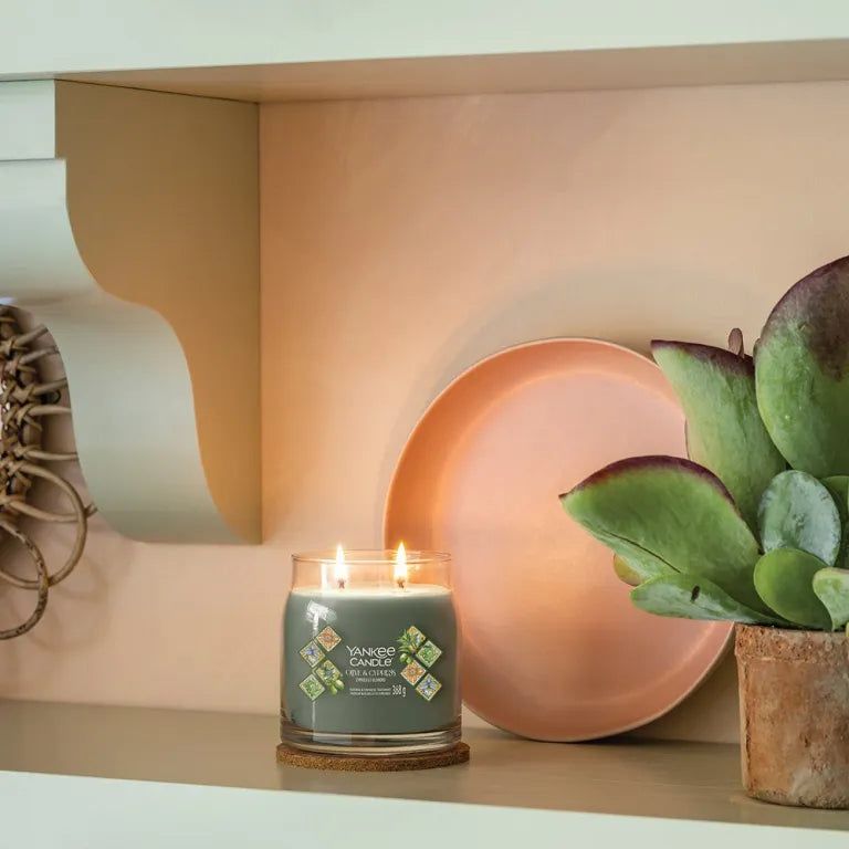Bougie Yankee Candle allumée dans un pot en verre, sur une étagère avec une assiette et une plante.