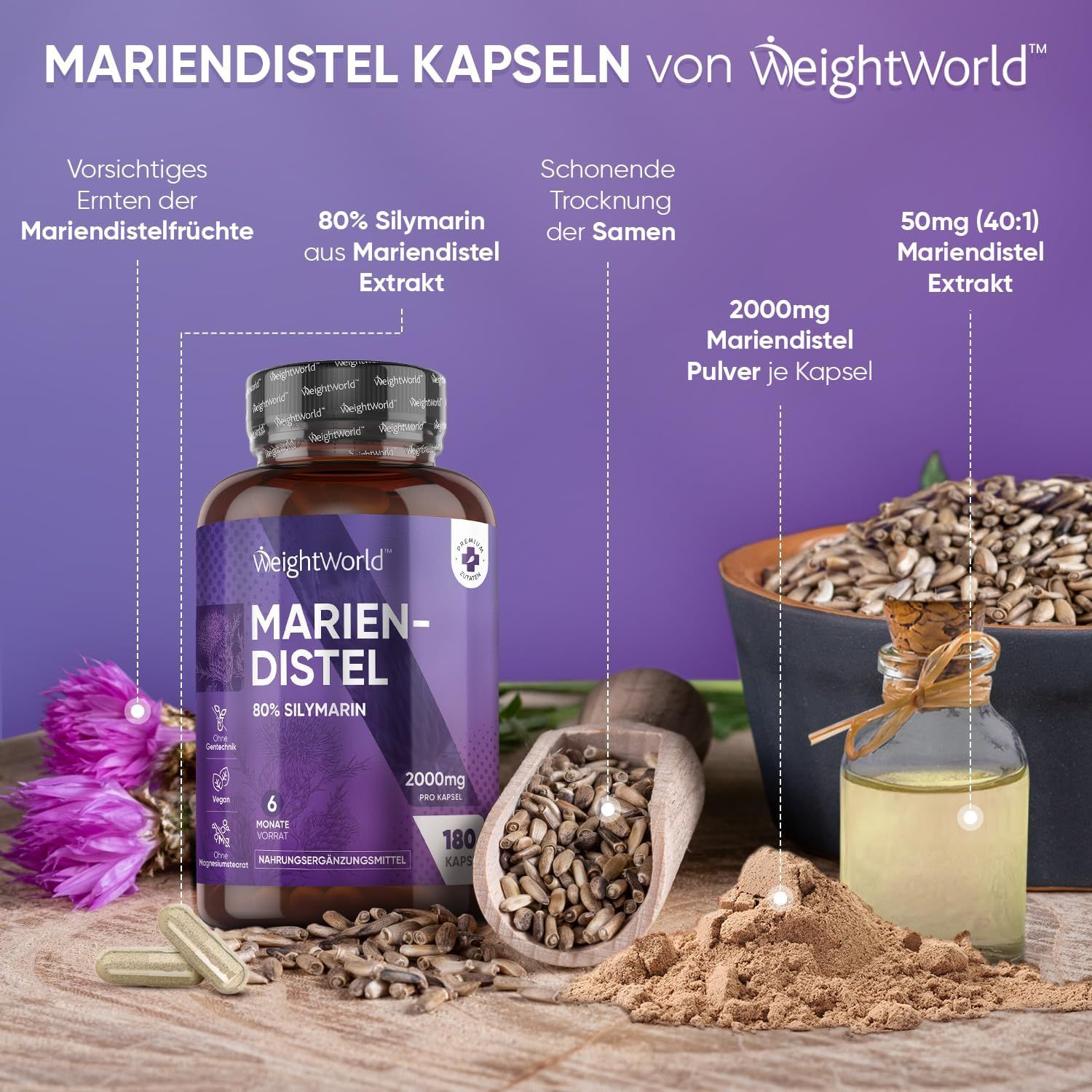 Productafbeelding met mariadistelcapsules, zaden, olie en poeder. Tekst: Mariadistel capsules van WeightWorld. 80% silymarine, 2000mg per capsule.