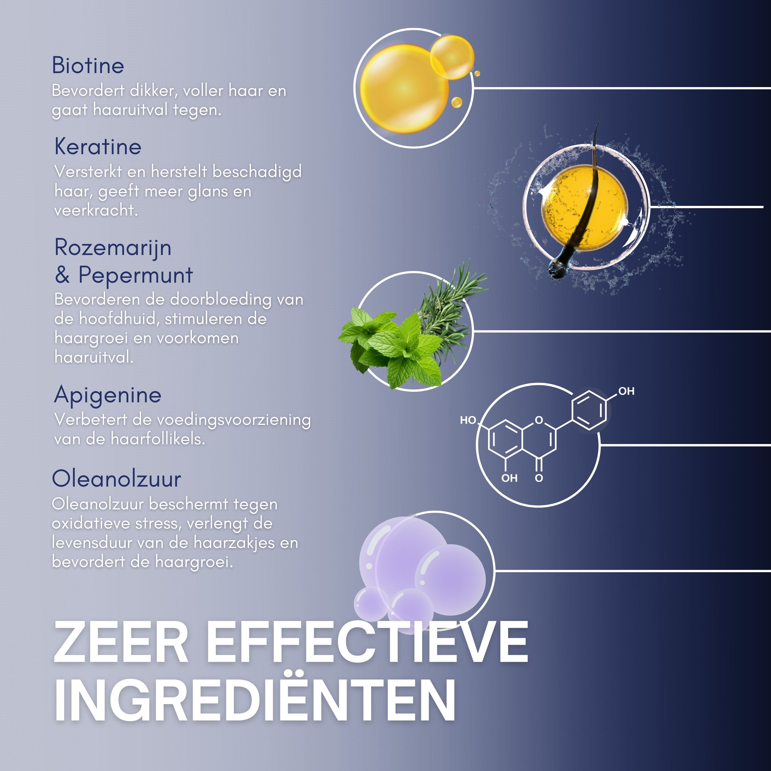 Blauw-witte advertentie met sprayfles. Opschrift: Evocapil, Anti-haaruitval Spray. Voordelen: verbetert de bloedsomloop, etc.