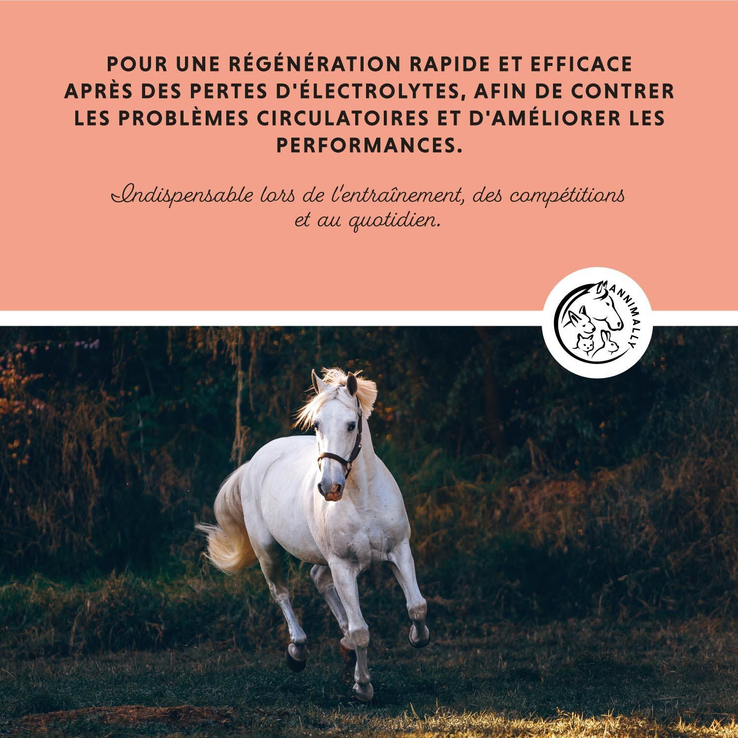 Texte avec logo et cheval au galop. Texte : Pour une régénération rapide et efficace après les pertes d'électrolytes, afin de contrer les problèmes.